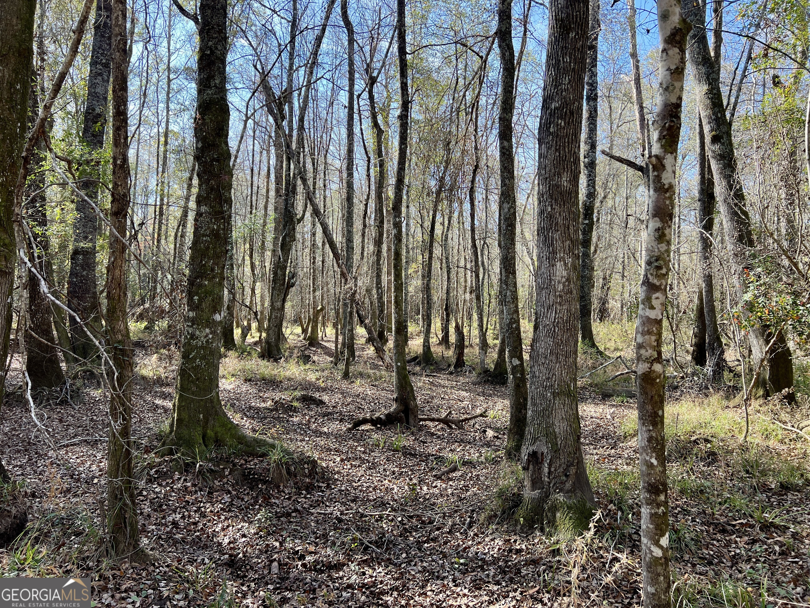 0 Rentz Road Dublin, GA 31021 - Photo 11 of 47 a backyard of a house with lots of green space