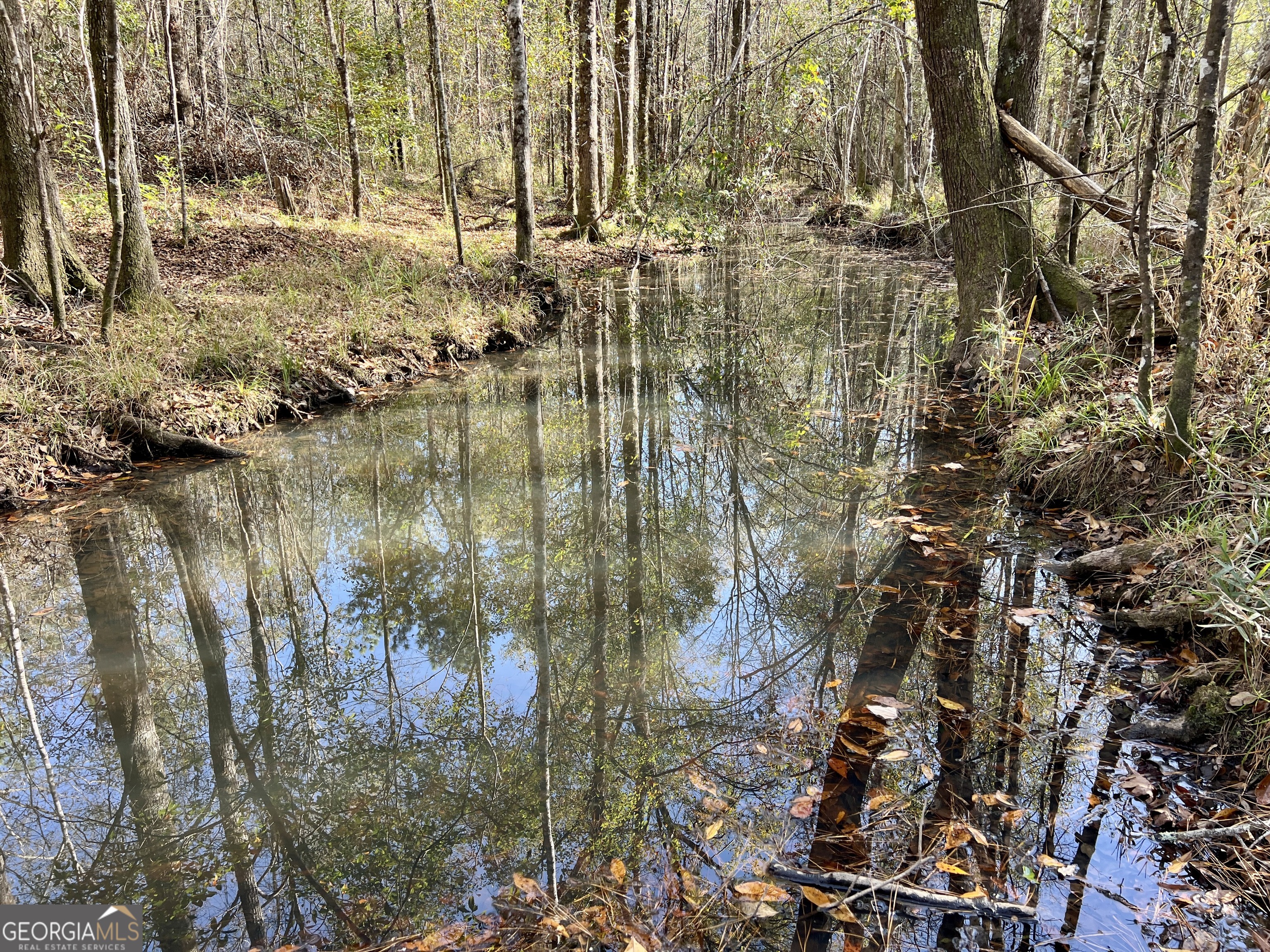 0 Rentz Road Dublin, GA 31021 - Photo 12 of 47