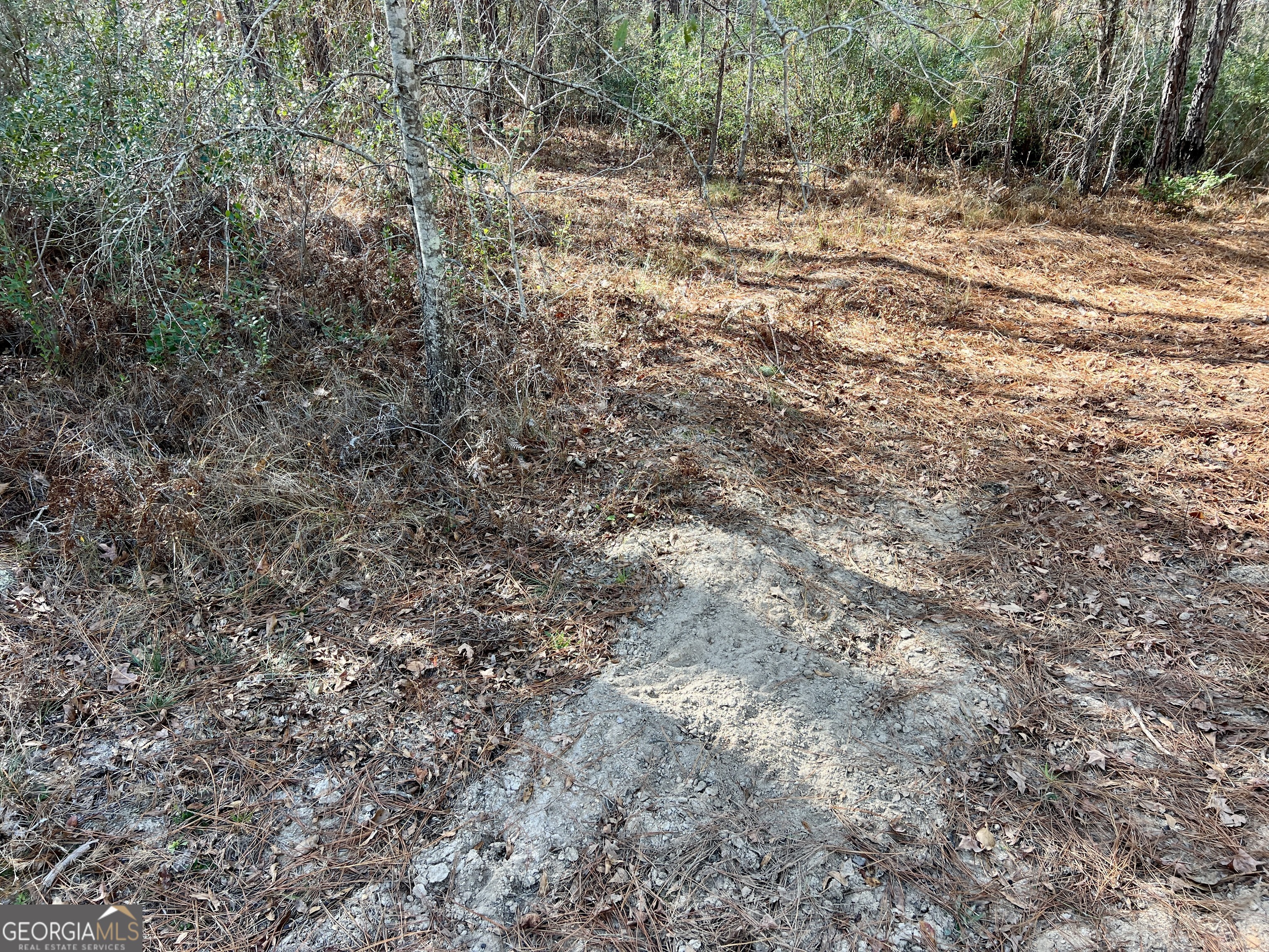 0 Rentz Road Dublin, GA 31021 - Photo 13 of 47 a view of a yard with a tree