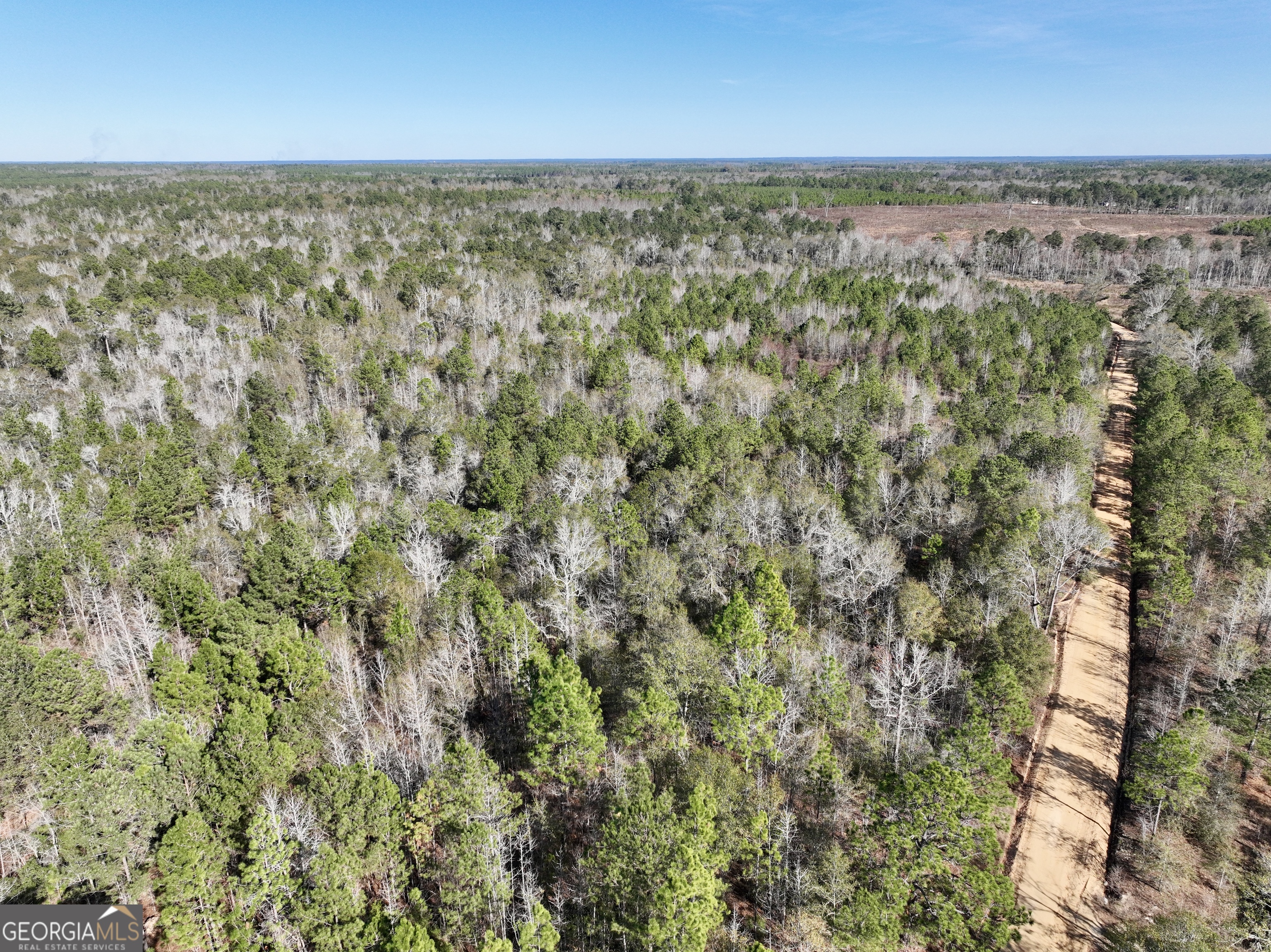 0 Rentz Road Dublin, GA 31021 - Photo 15 of 47 a view of a city with an outdoor space