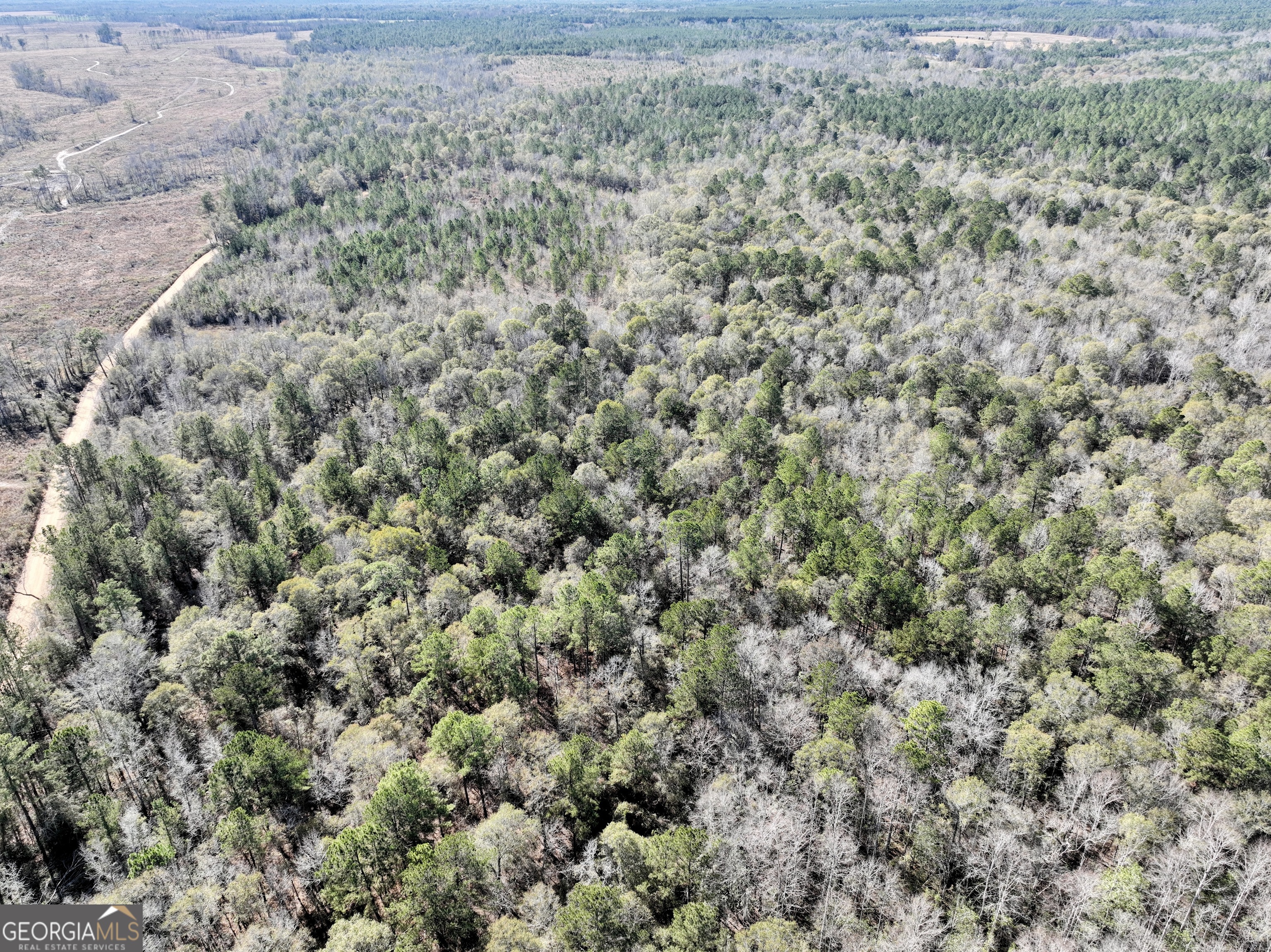 0 Rentz Road Dublin, GA 31021 - Photo 20 of 47