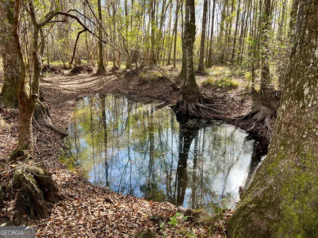 a view of covered with snow