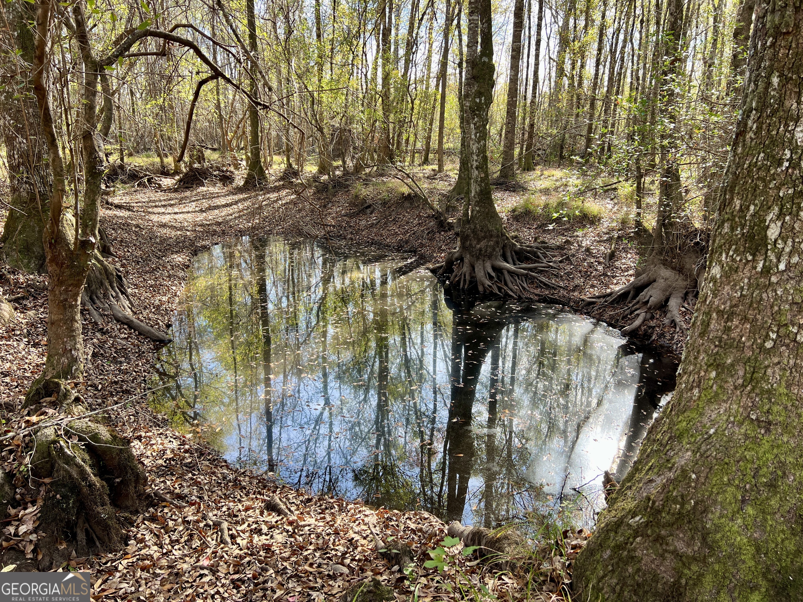 0 Rentz Road Dublin, GA 31021 - Photo 2 of 47 a view of covered with snow