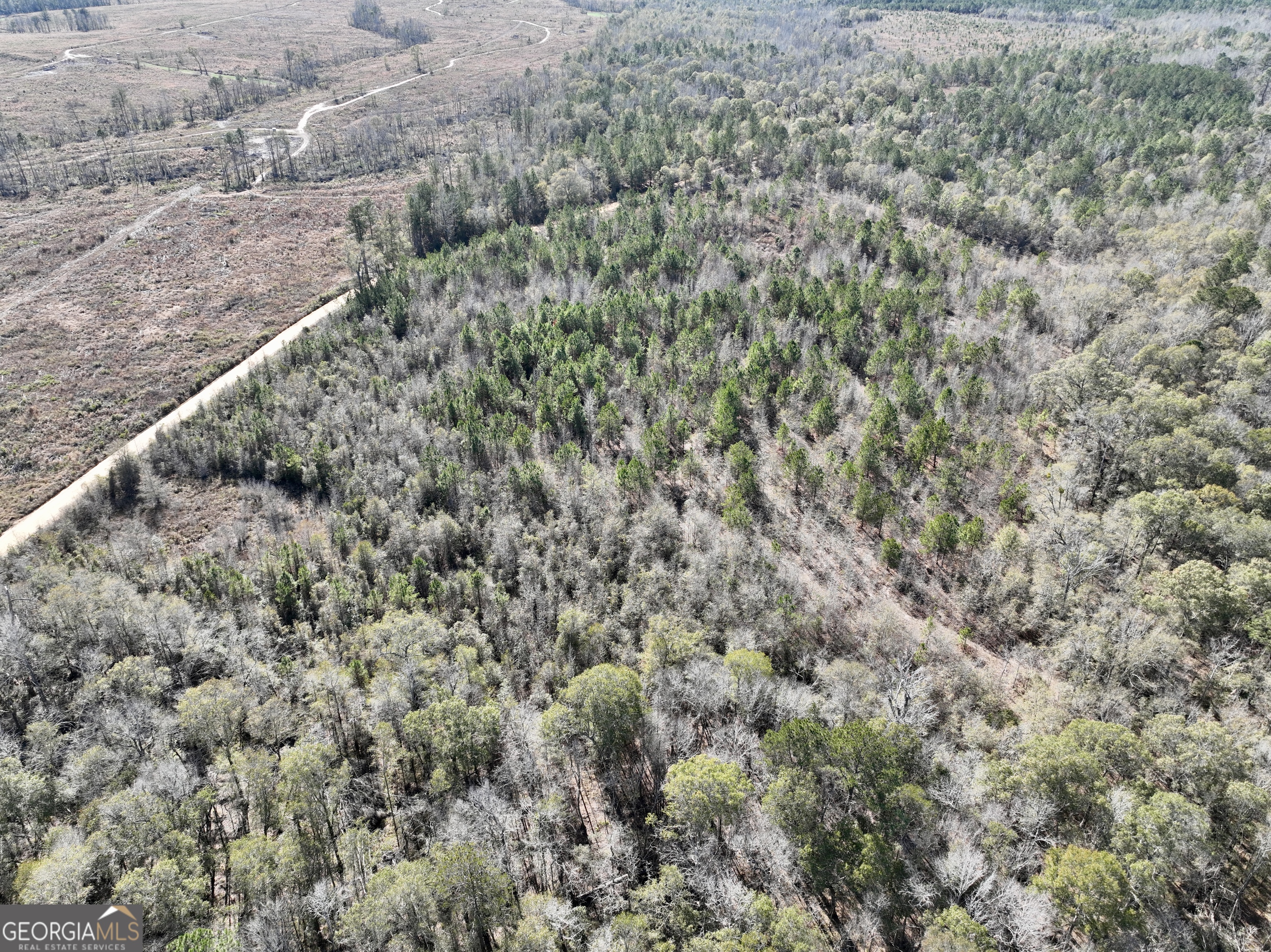 0 Rentz Road Dublin, GA 31021 - Photo 21 of 47 a view of a dry yard with green space