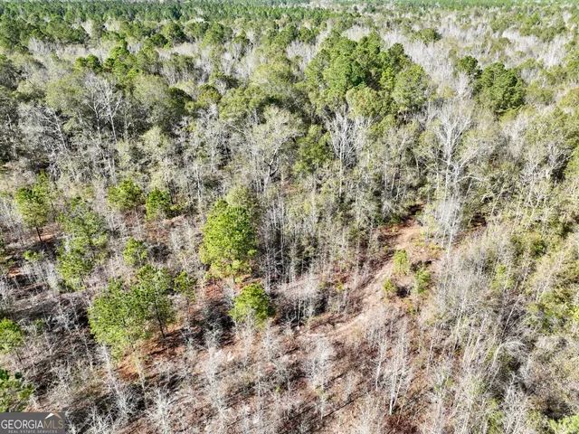 a view of a yard with plants and trees