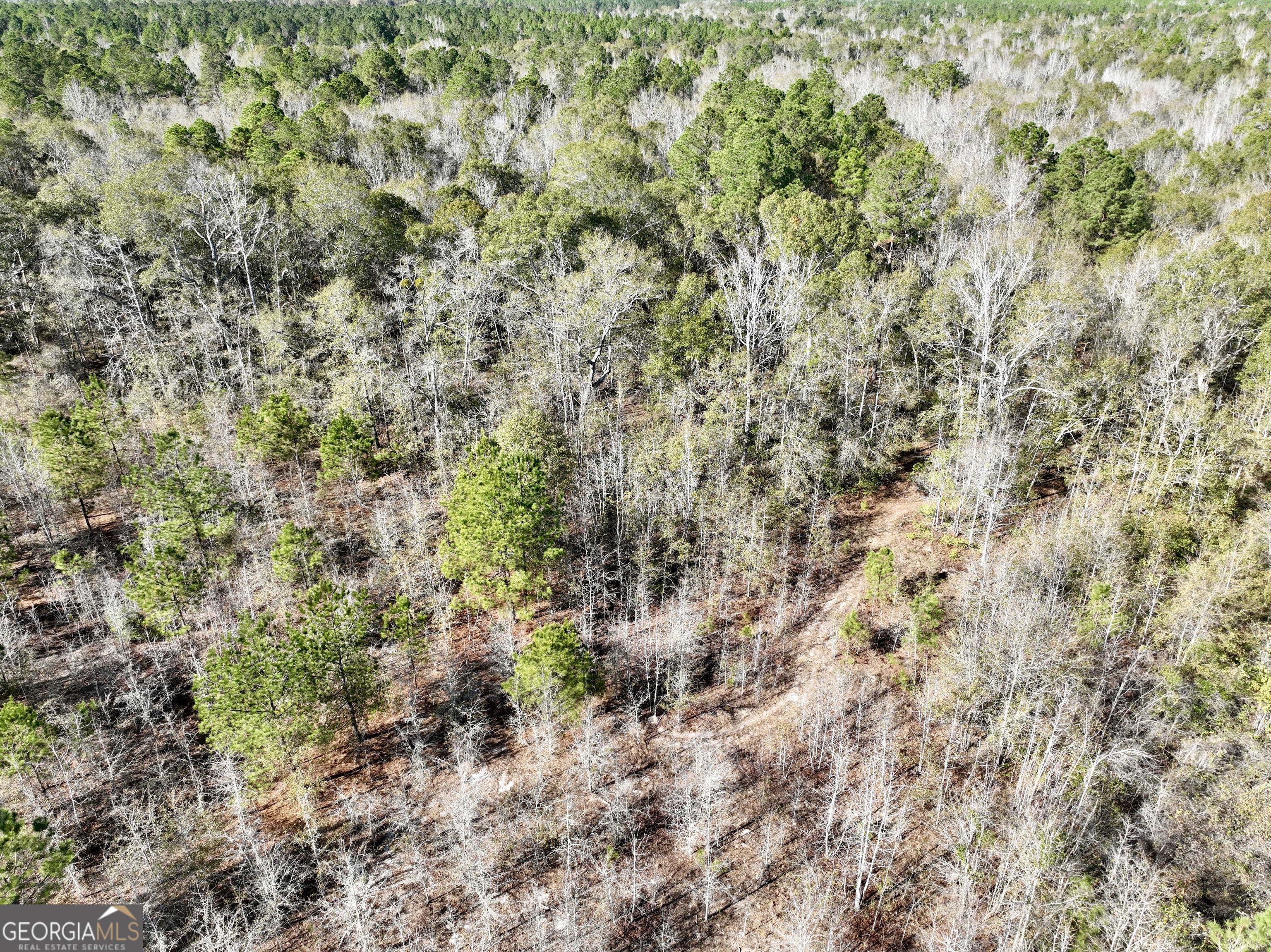 0 Rentz Road Dublin, GA 31021 - Photo 22 of 47 a view of a forest with a tree
