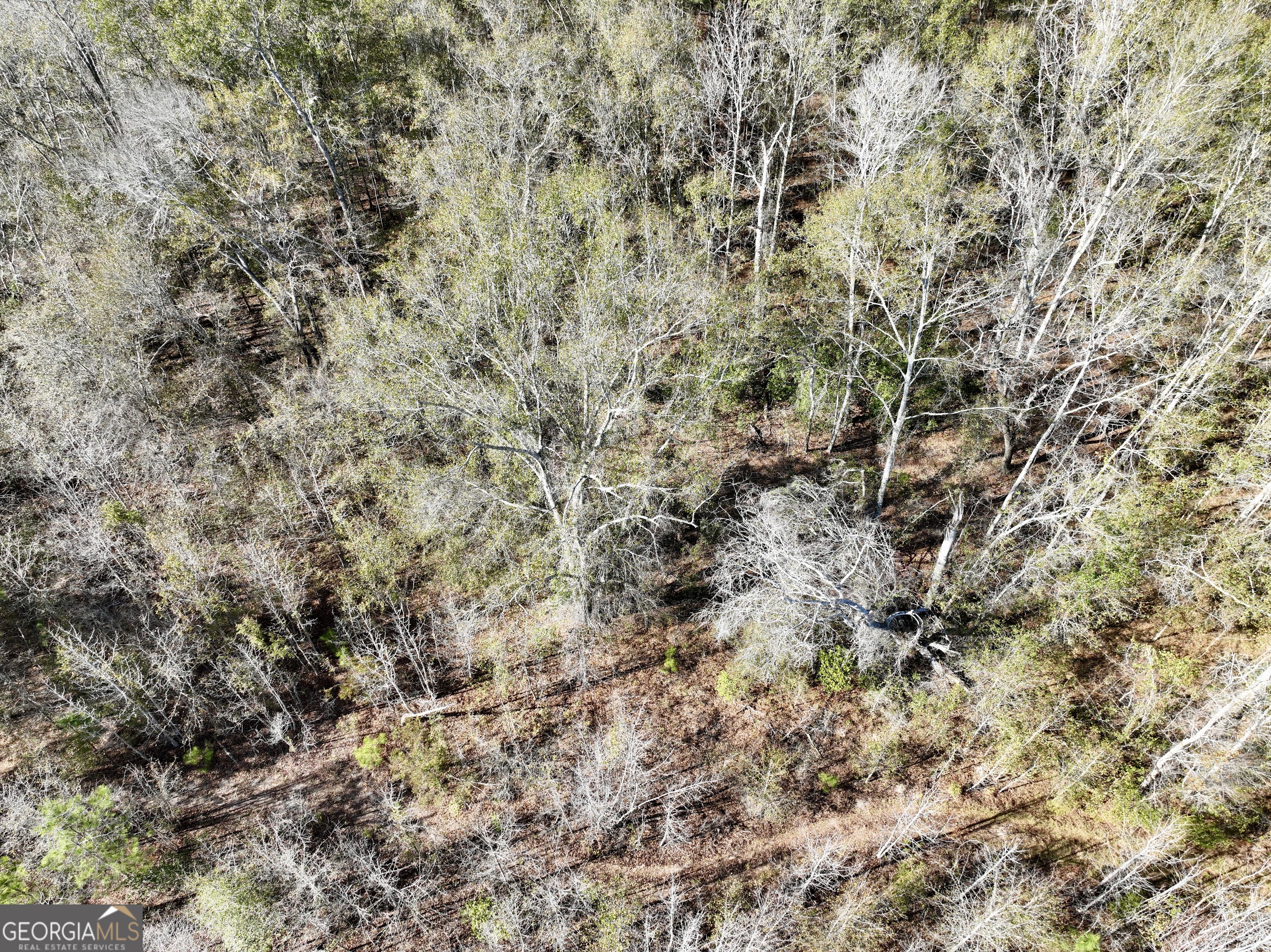 0 Rentz Road Dublin, GA 31021 - Photo 24 of 47 a view of a yard