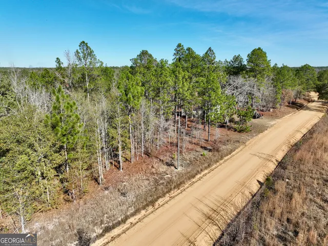 a view of outdoor space with lots of trees