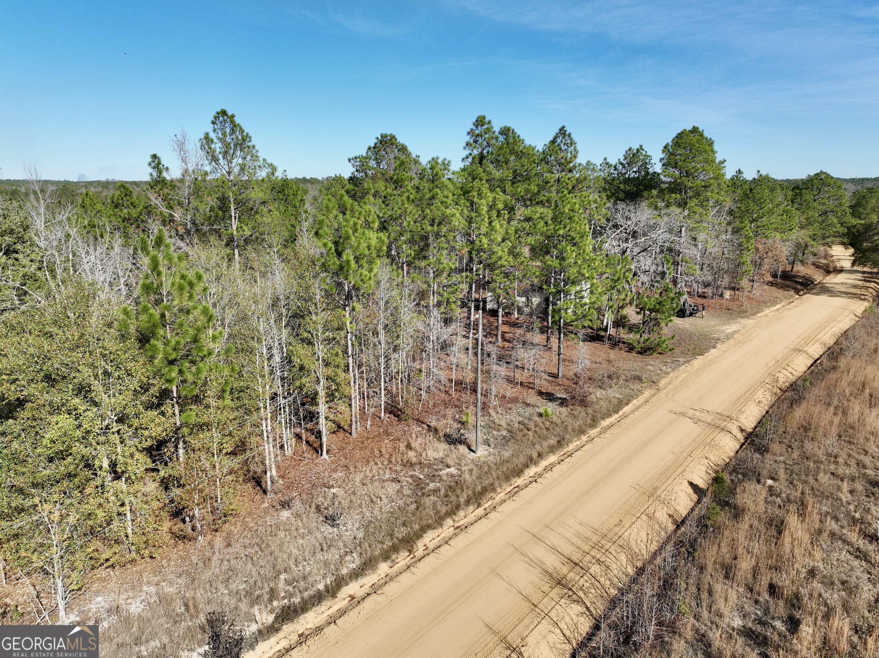 0 Rentz Road Dublin, GA 31021 - Photo 25 of 47