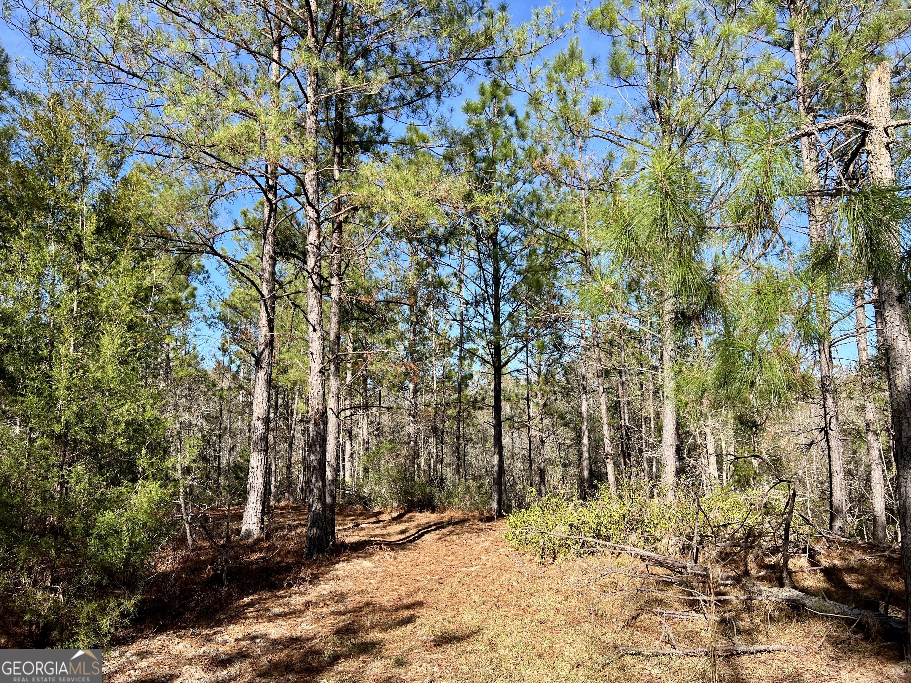 0 Rentz Road Dublin, GA 31021 - Photo 27 of 47