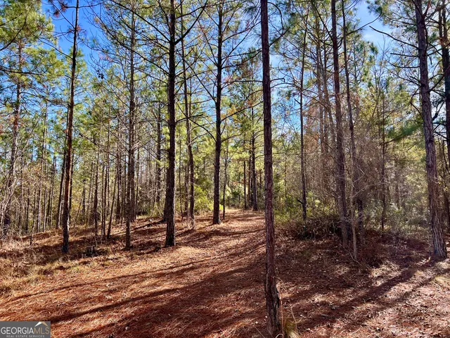 a view of a backyard of the house