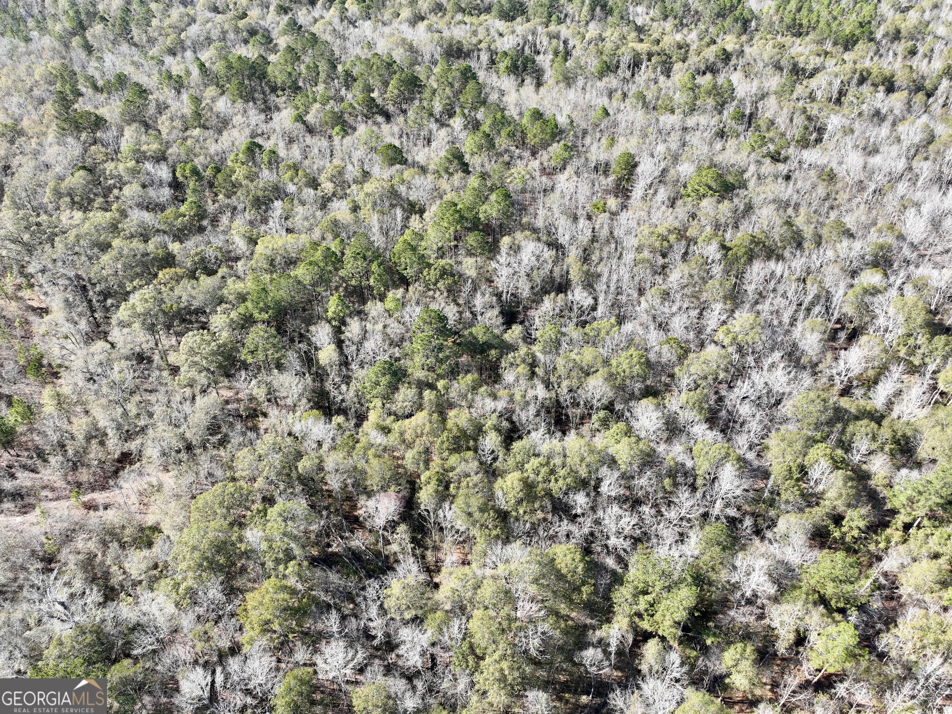 0 Rentz Road Dublin, GA 31021 - Photo 3 of 47 a view of a covered with green field