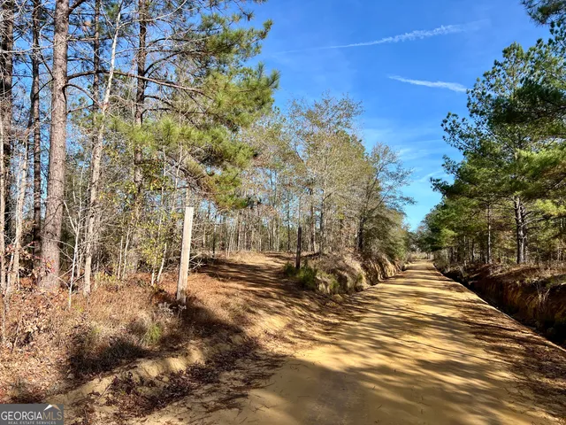 a view of a park with large trees