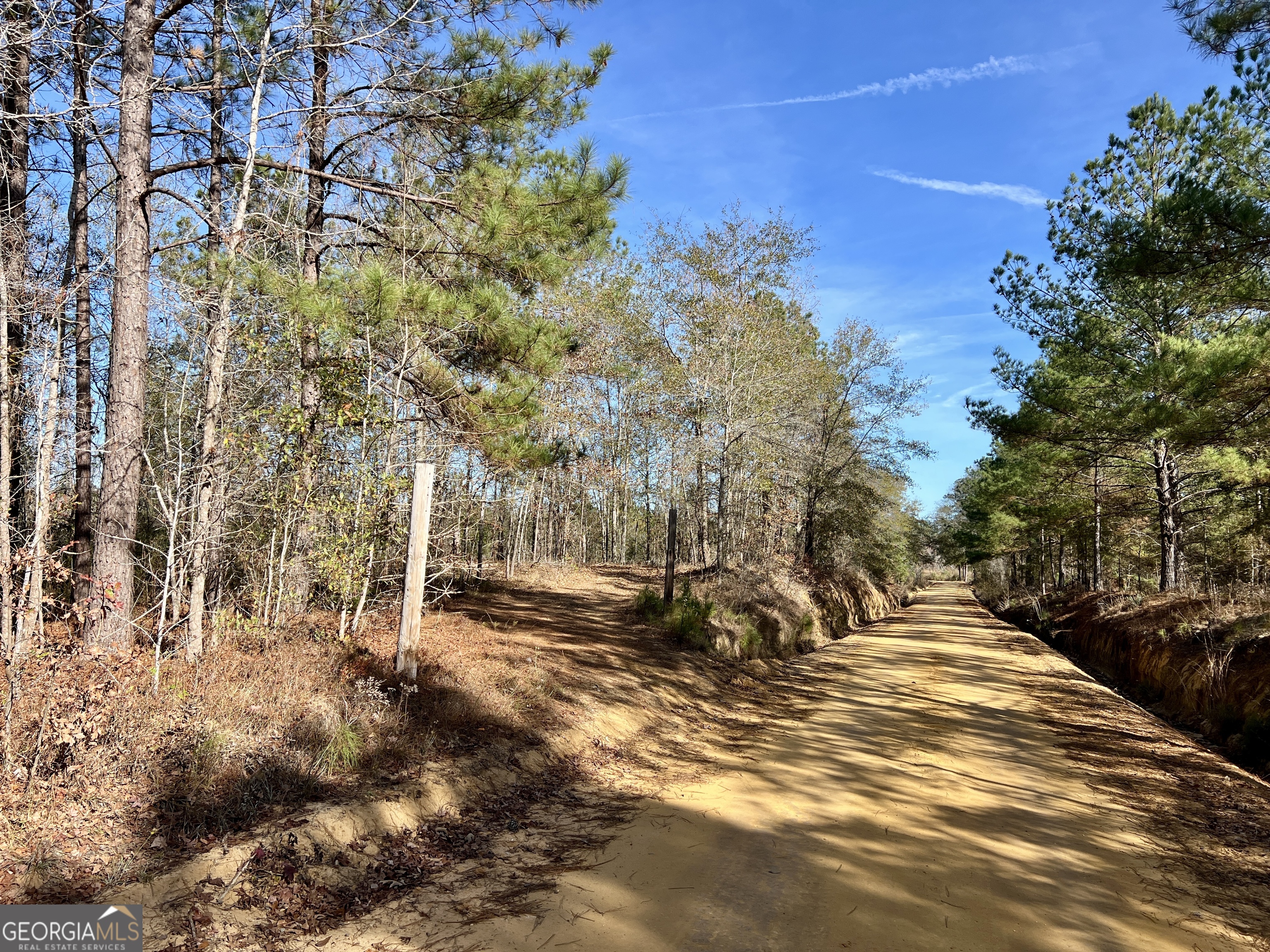 0 Rentz Road Dublin, GA 31021 - Photo 31 of 47 a view of a yard with plants and trees