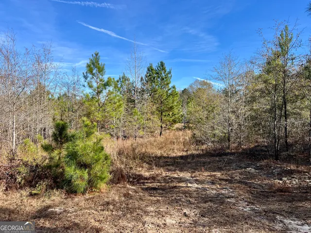 a view of a yard with trees