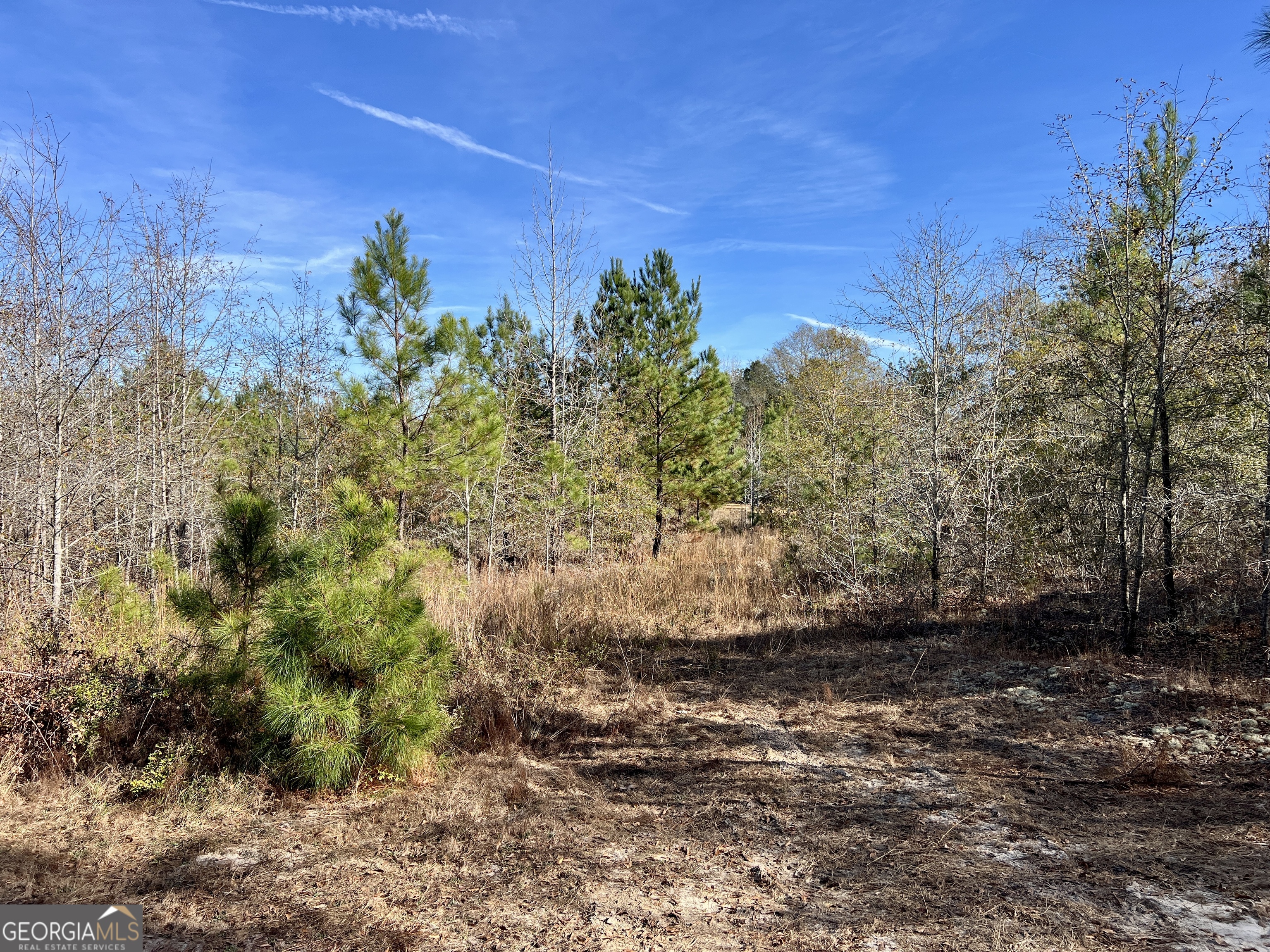0 Rentz Road Dublin, GA 31021 - Photo 32 of 47 a view of a yard
