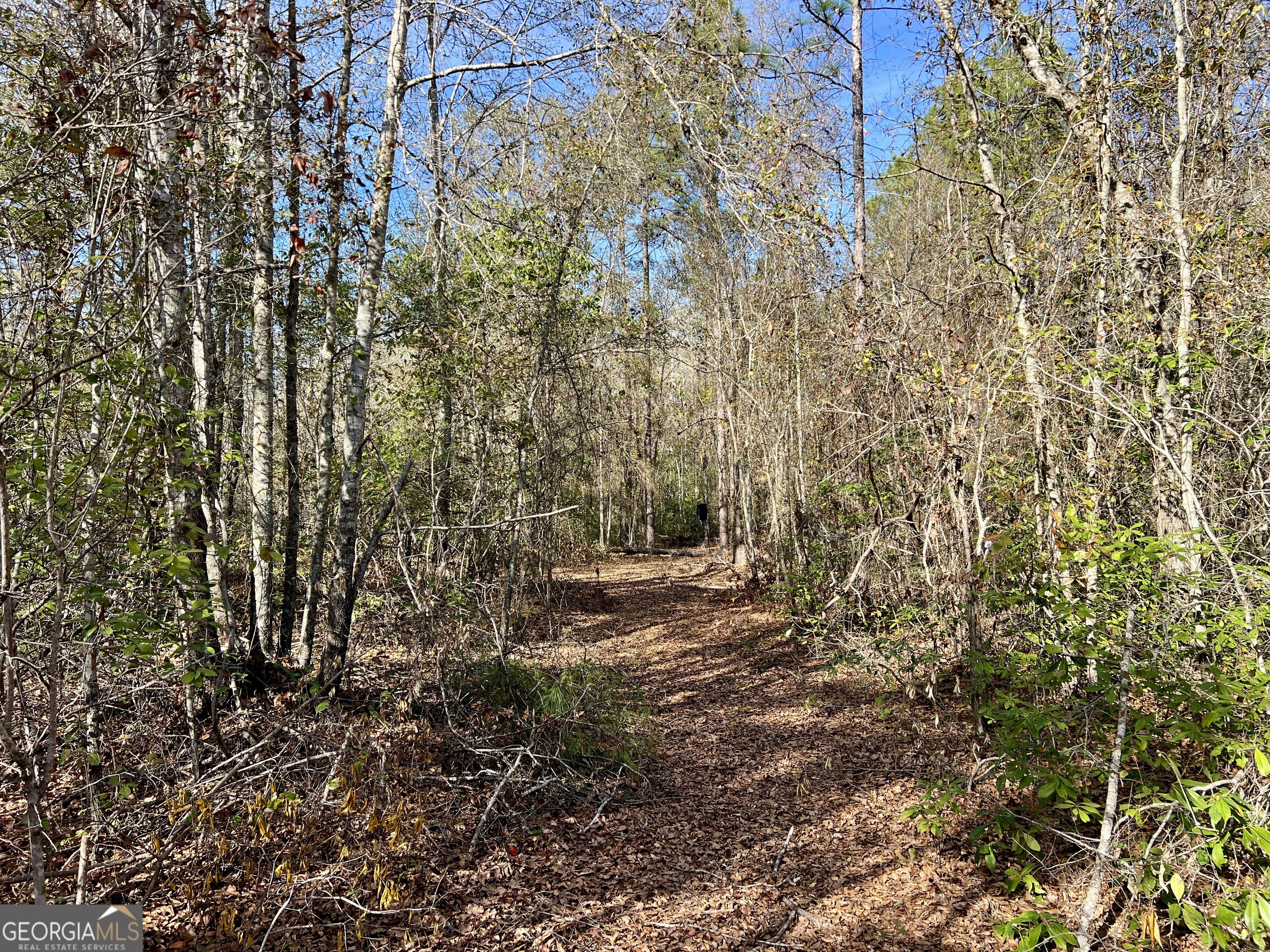 0 Rentz Road Dublin, GA 31021 - Photo 33 of 47 a view of a yard with a tree