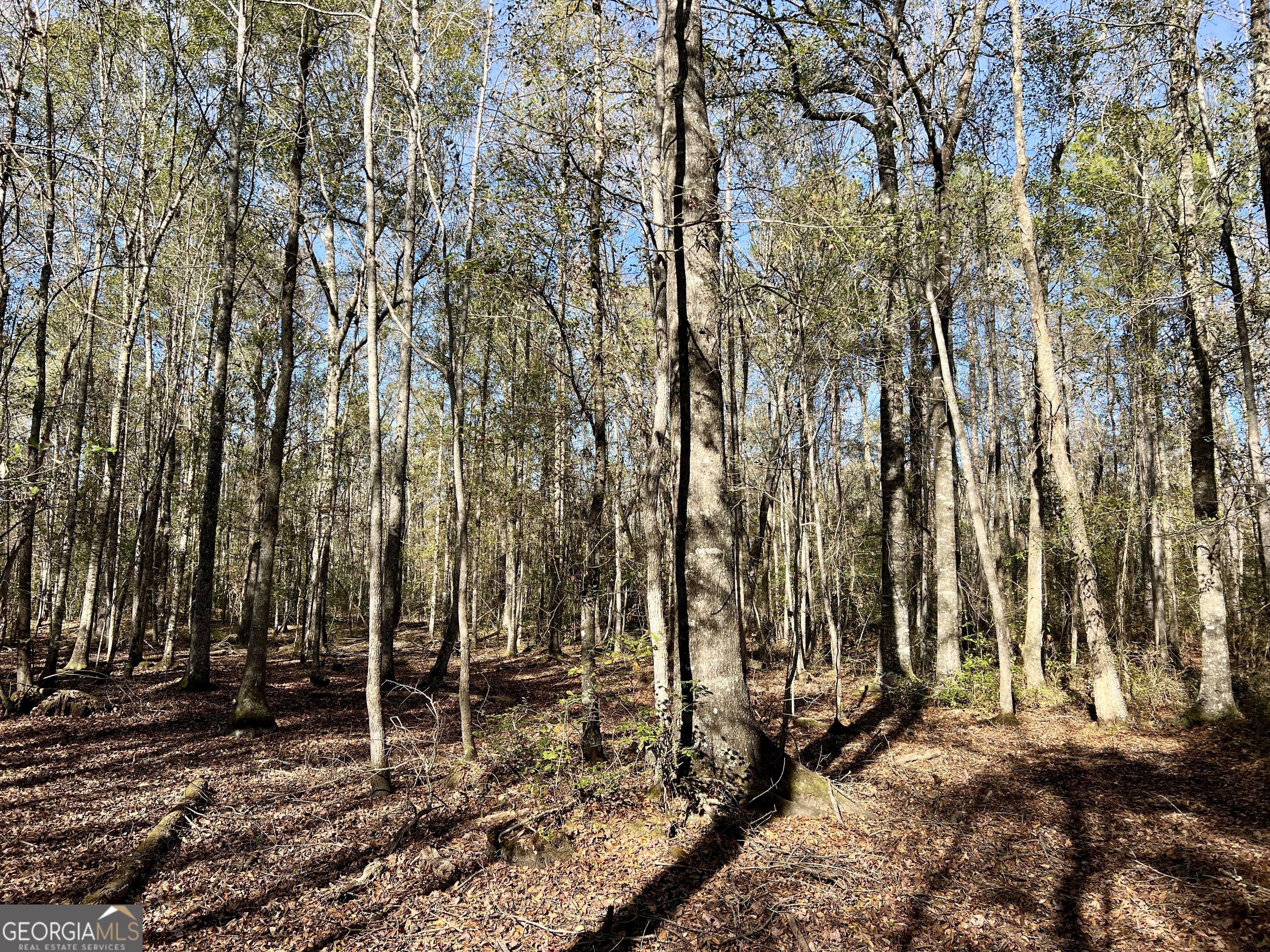 0 Rentz Road Dublin, GA 31021 - Photo 35 of 47 a view of a backyard of the house
