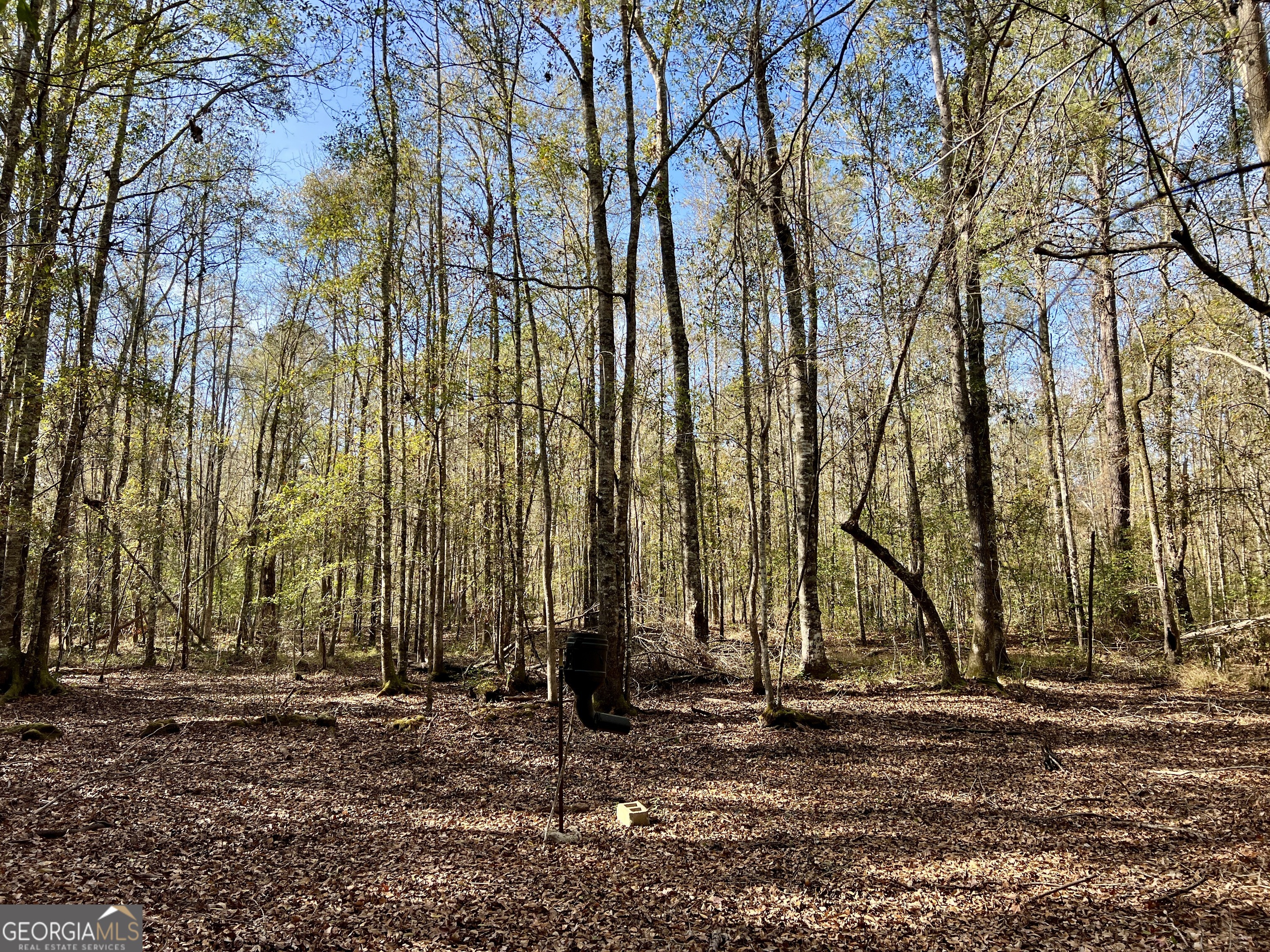 0 Rentz Road Dublin, GA 31021 - Photo 36 of 47 a view of a park with large trees