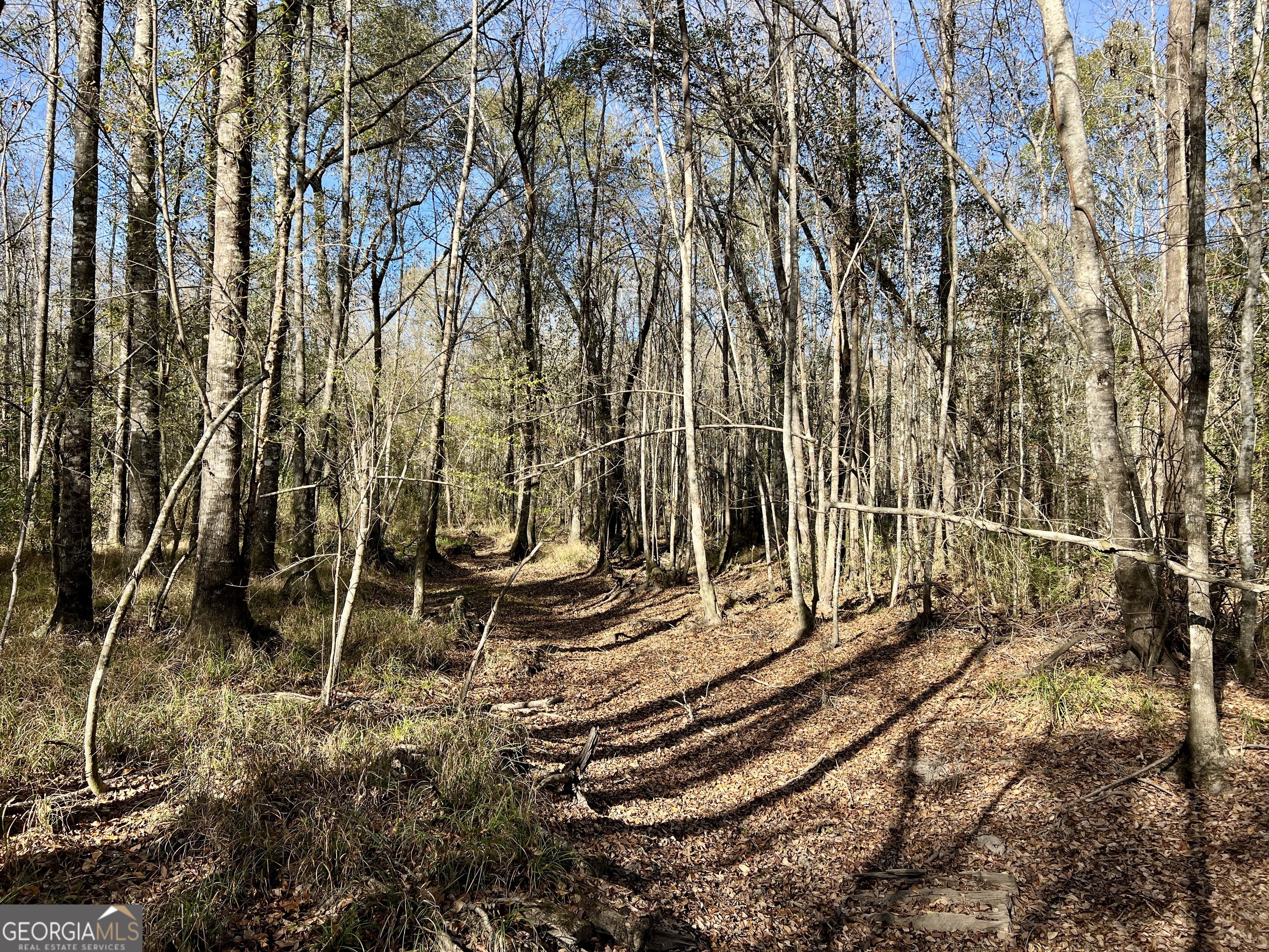 0 Rentz Road Dublin, GA 31021 - Photo 38 of 47 a view of a yard with wooden fence