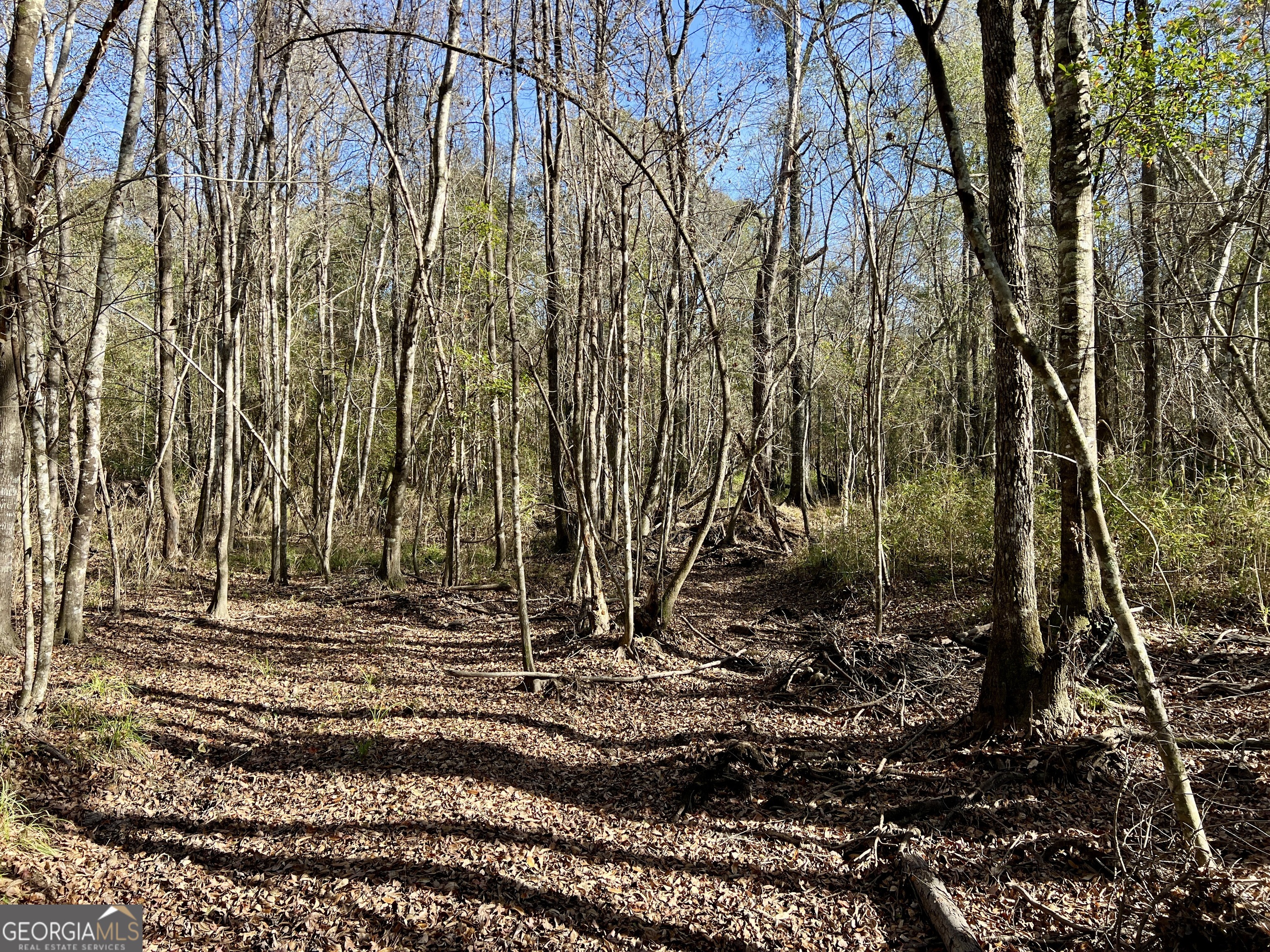 0 Rentz Road Dublin, GA 31021 - Photo 39 of 47 a view of a backyard