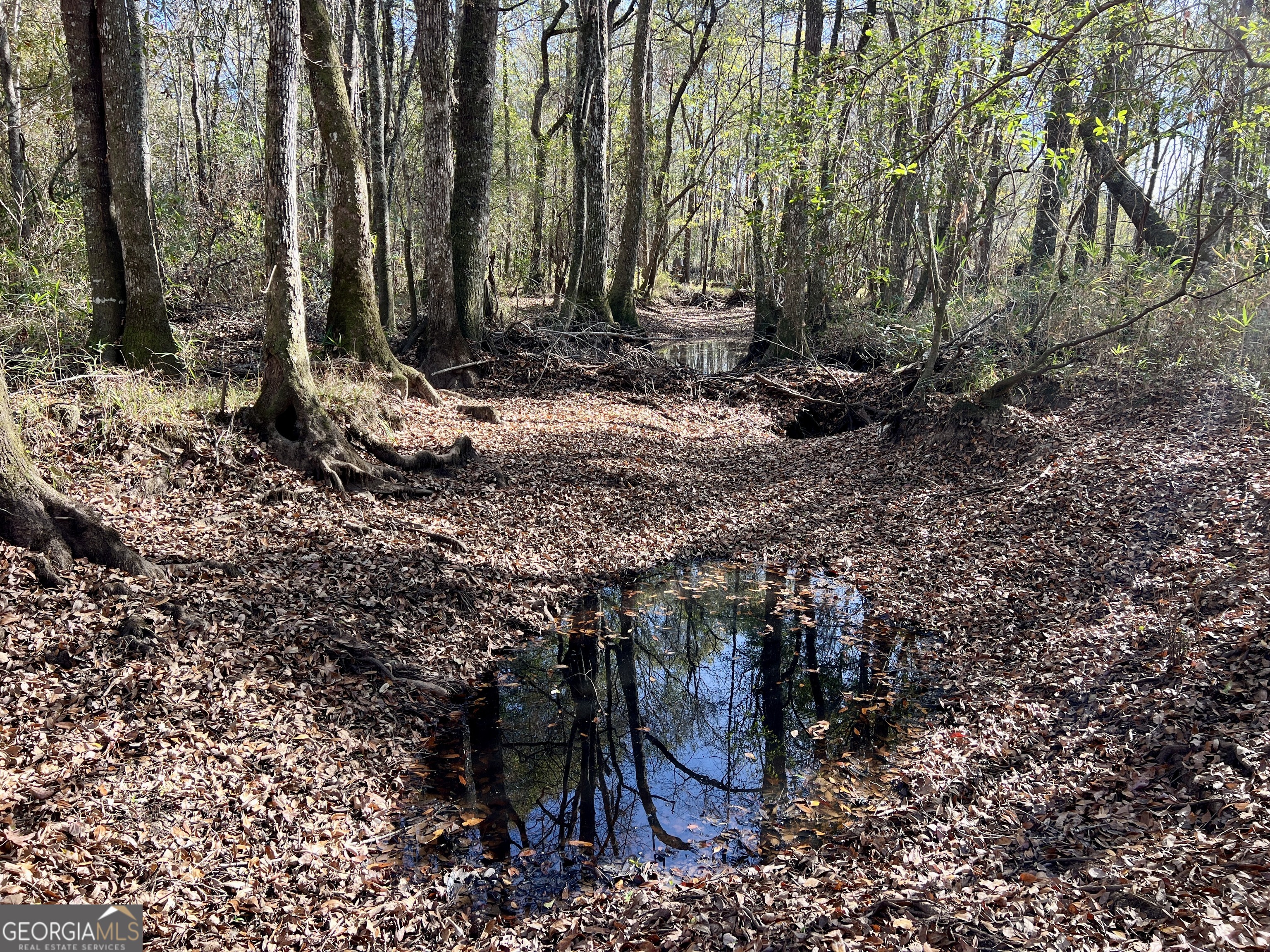 0 Rentz Road Dublin, GA 31021 - Photo 40 of 47 a backyard of a house with lots of green space