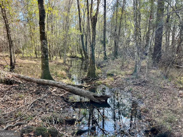 a view of an outdoor space