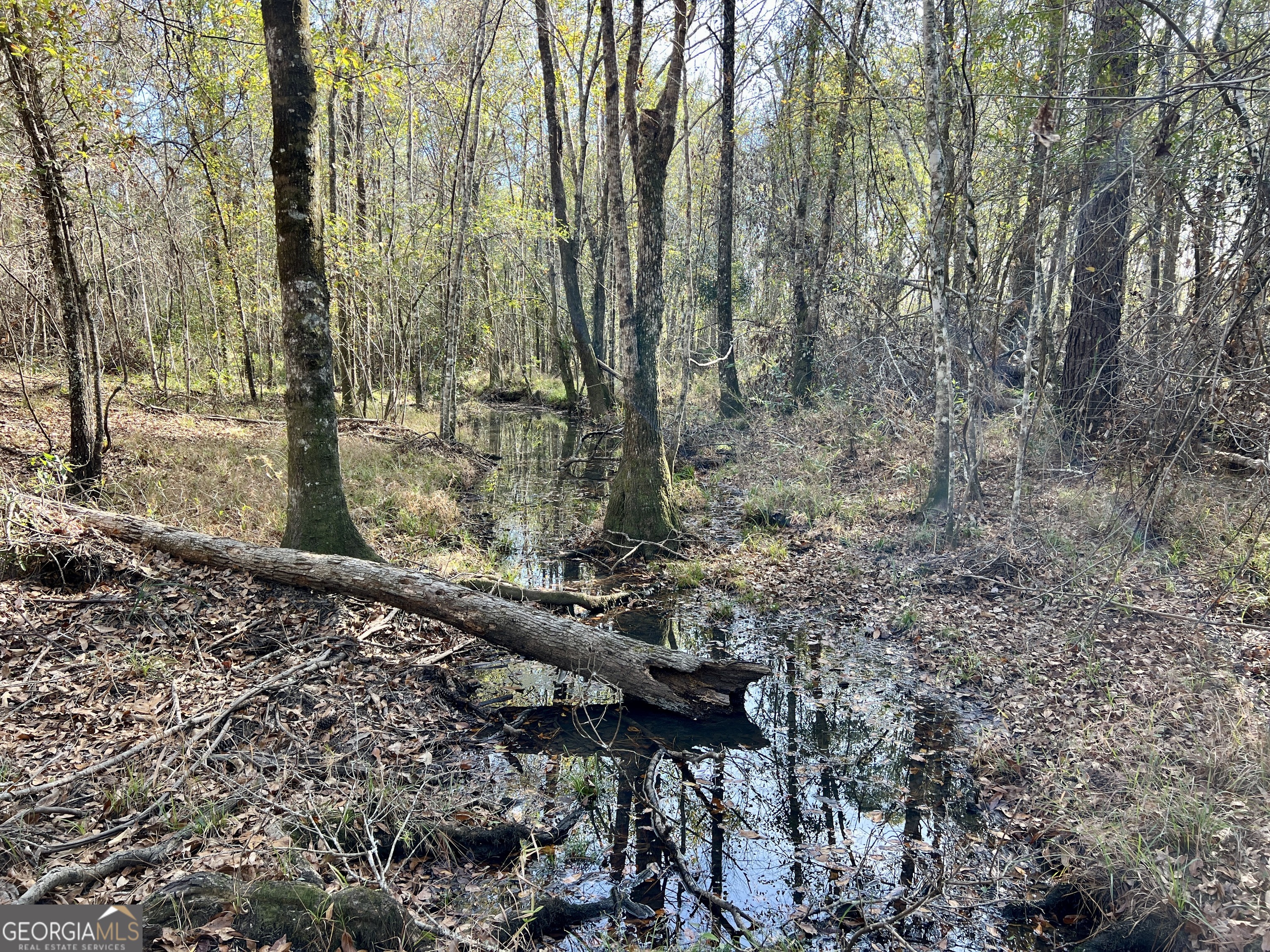 0 Rentz Road Dublin, GA 31021 - Photo 41 of 47 a view of a yard with plants and trees