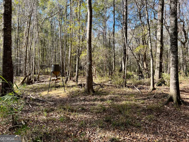 $295,000 | 0 Rentz Road, Dublin, GA 31021