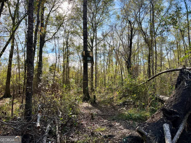 $295,000 | 0 Rentz Road, Dublin, GA 31021