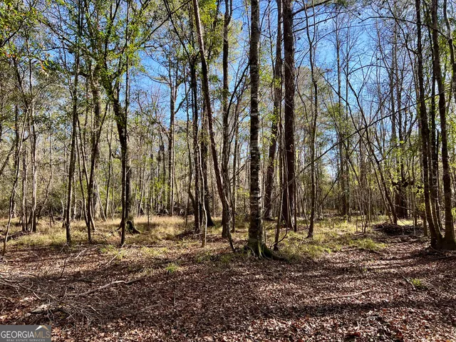 $295,000 | 0 Rentz Road, Dublin, GA 31021