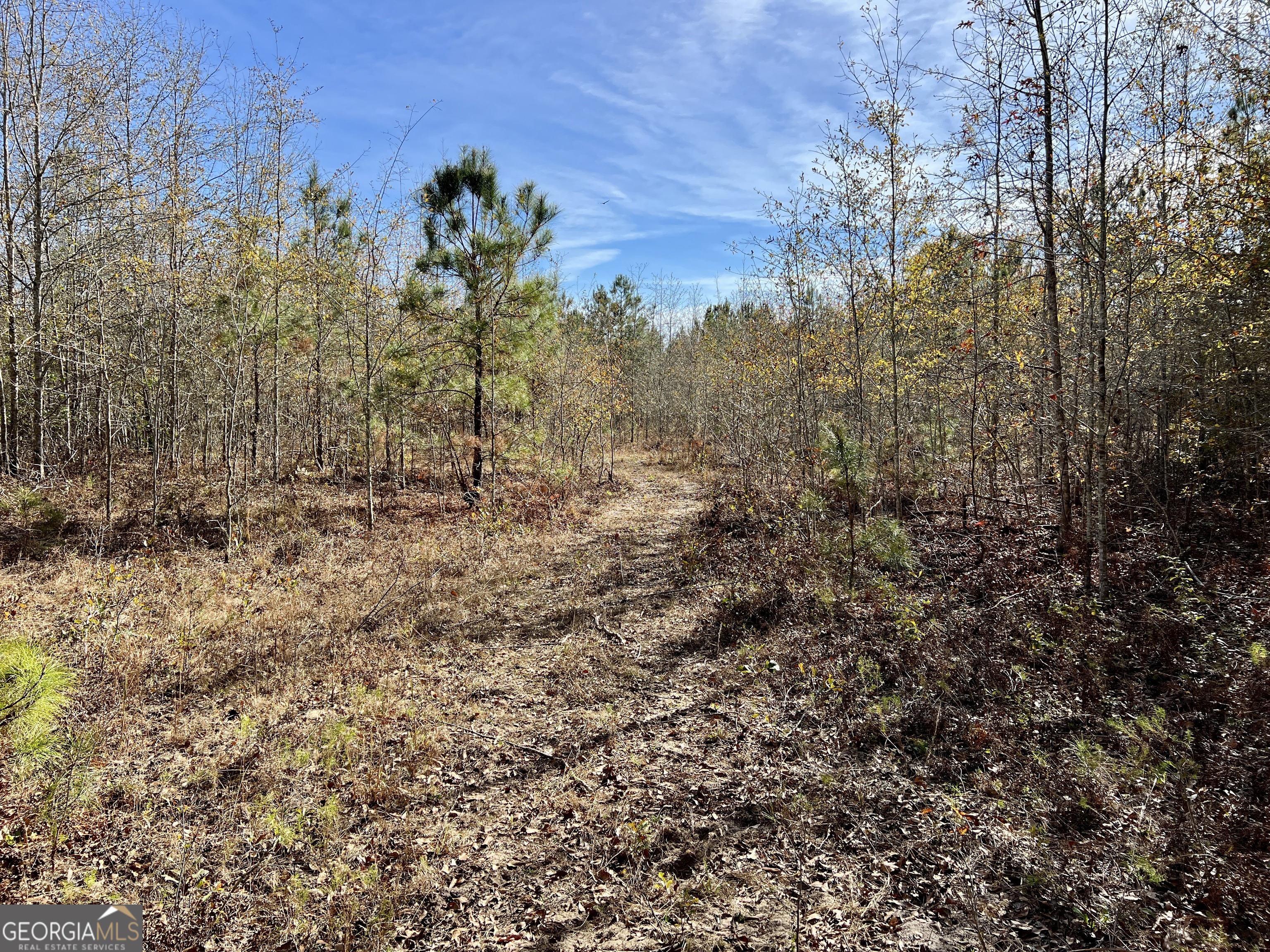 0 Rentz Road Dublin, GA 31021 - Photo 46 of 47