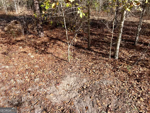 $295,000 | 0 Rentz Road, Dublin, GA 31021