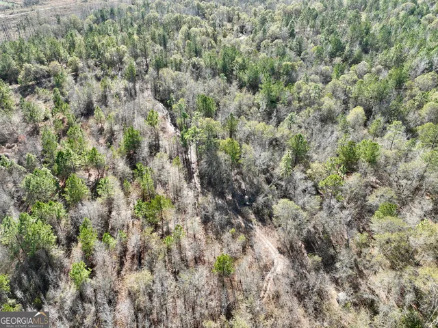 a view of a covered with green field