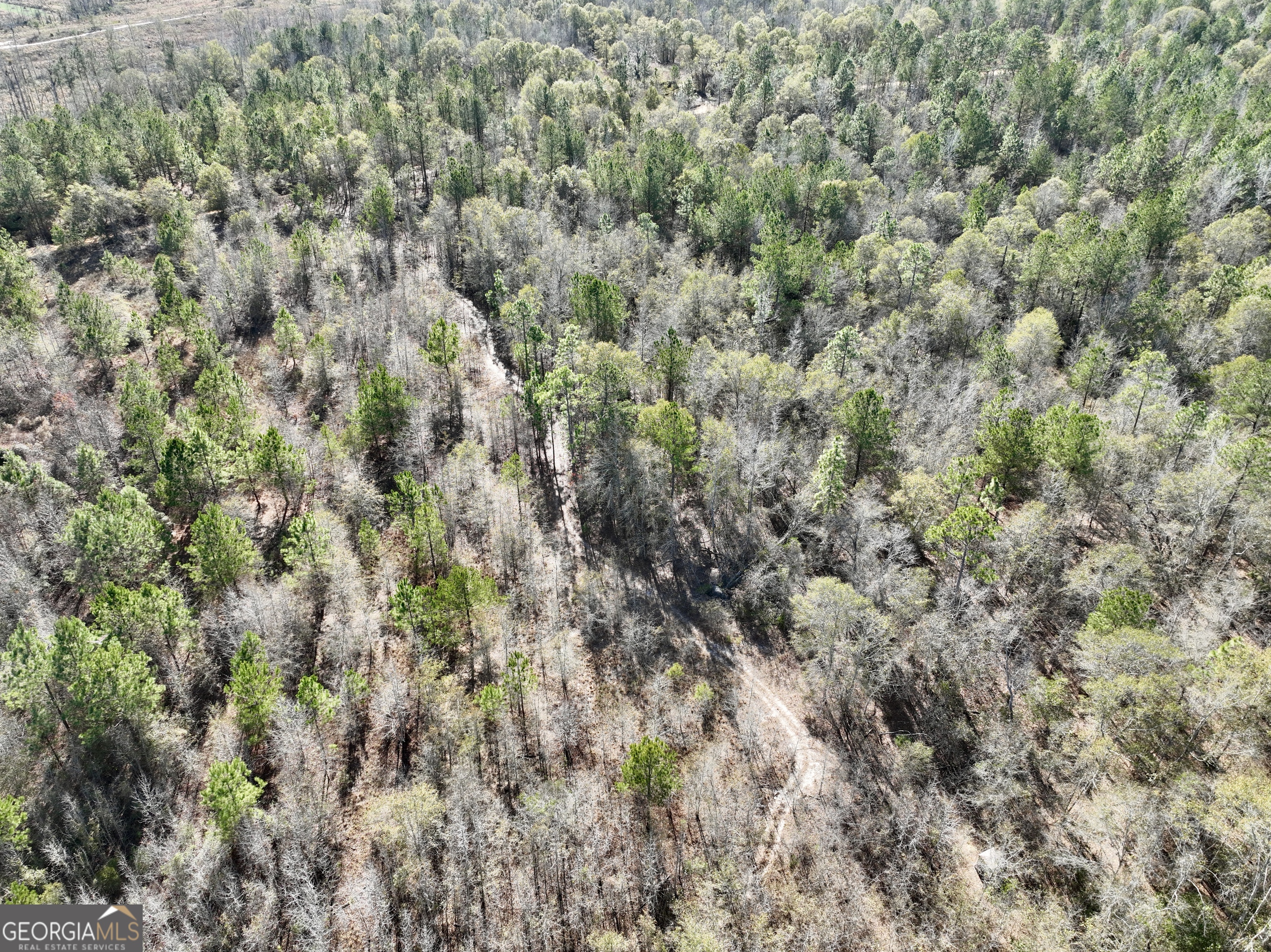 0 Rentz Road Dublin, GA 31021 - Photo 5 of 47 a view of a covered with green field
