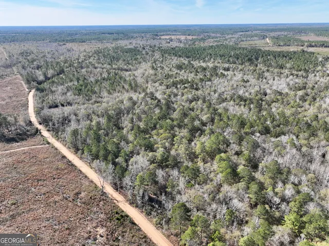a view of a dry yard with wooden floor and mountain view