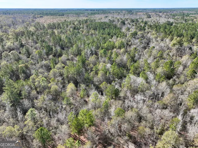 a view of outdoor space with trees