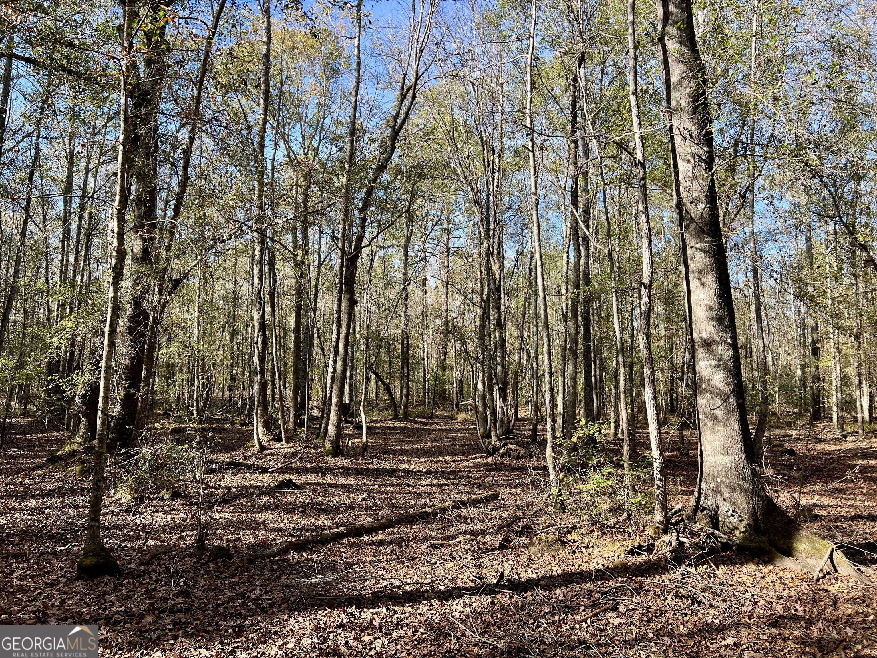 0 Rentz Road Dublin, GA 31021 - Photo 9 of 47 a view of outdoor space with trees
