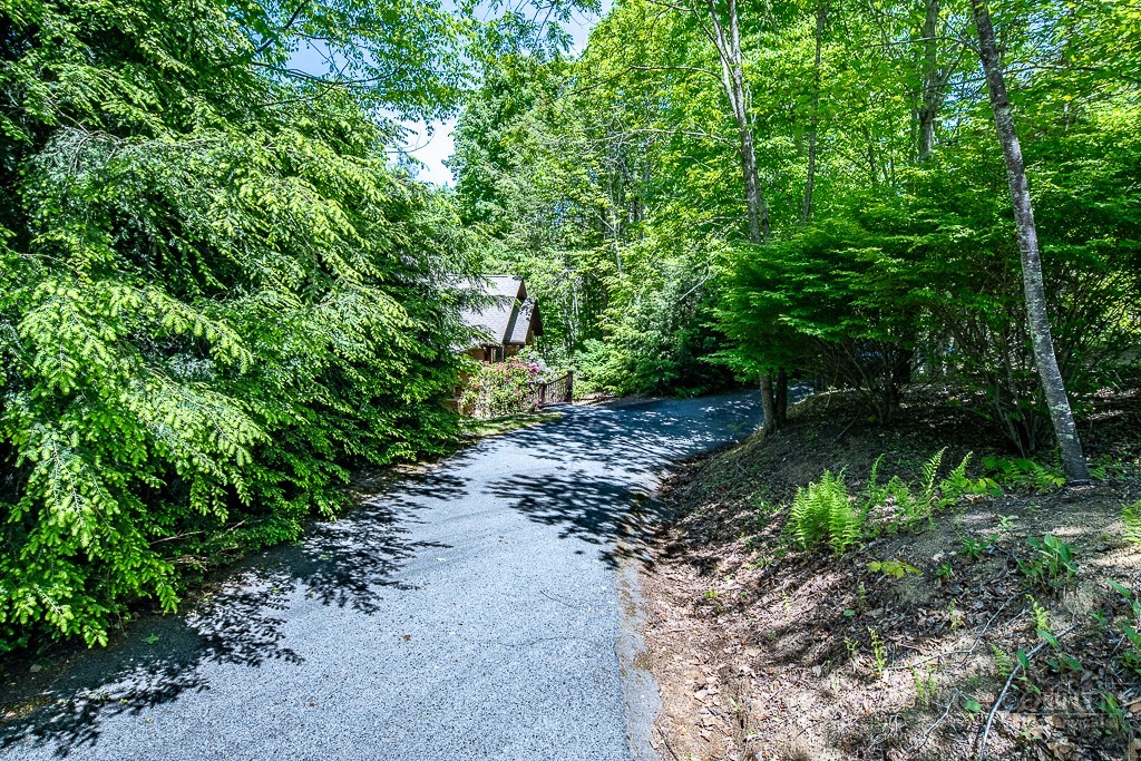 485 Woodlake Loop Road Elk Park, NC 28622 - Photo 31 of 44 a view of a pathway both side of yard