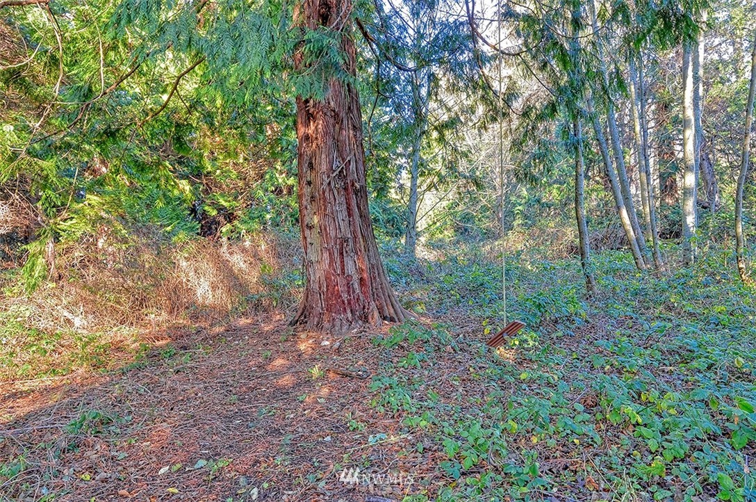 2660 MacKenzie Road Bellingham, WA 98226 - Photo 29 of 30 Gallery Image 29