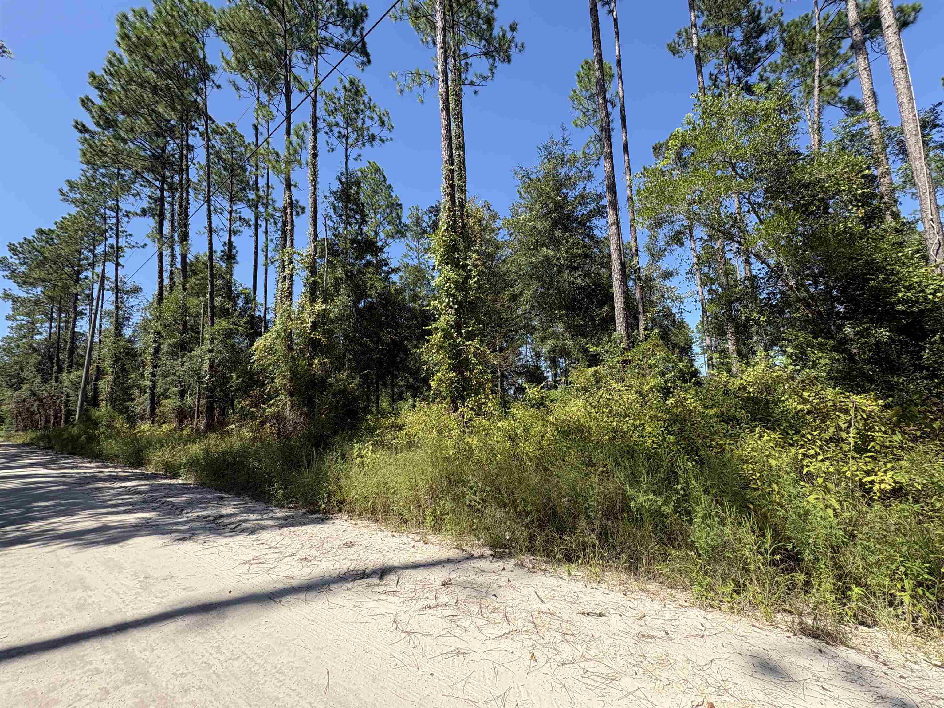 0 Walker Springs Road Monticello, FL 32344 - Photo 5 of 11 Gallery Image 5