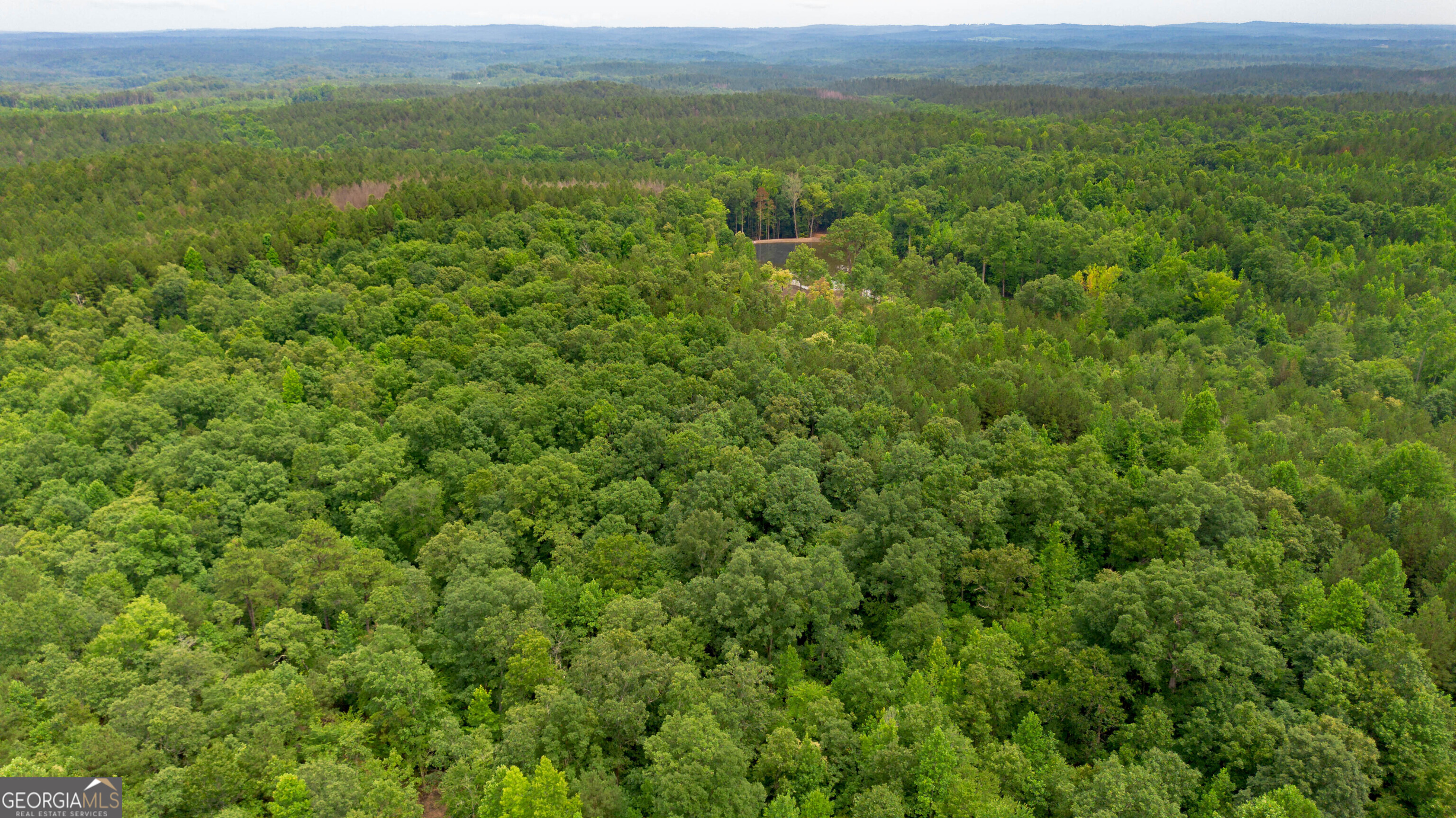0 Vineyard Fruithurst, AL 36262 - Photo 13 of 21