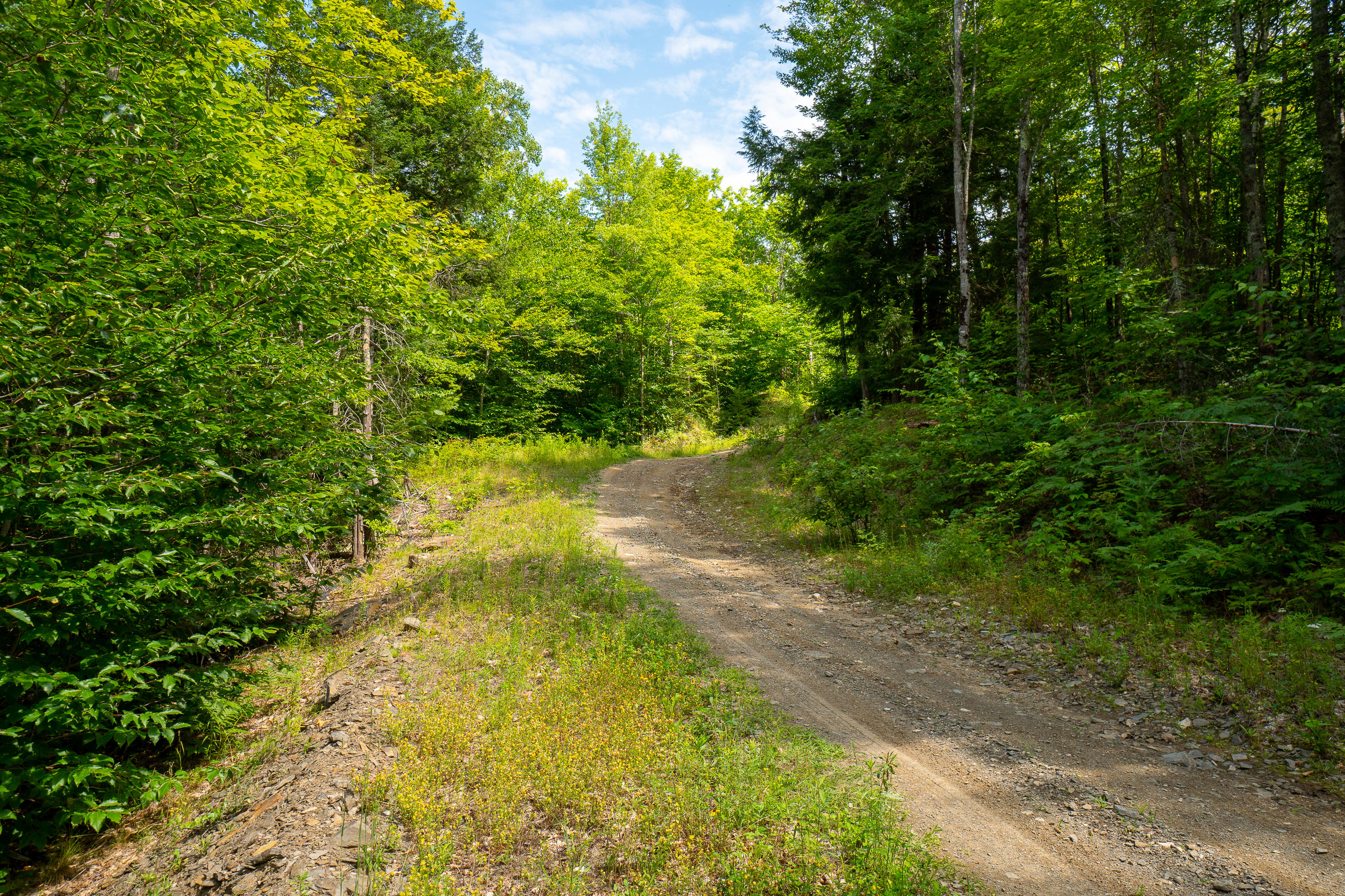 Map69-lot5 Dutton Road South China, ME 04358 - Photo 14 of 16 (29)_Land - China, ME(MAPS)