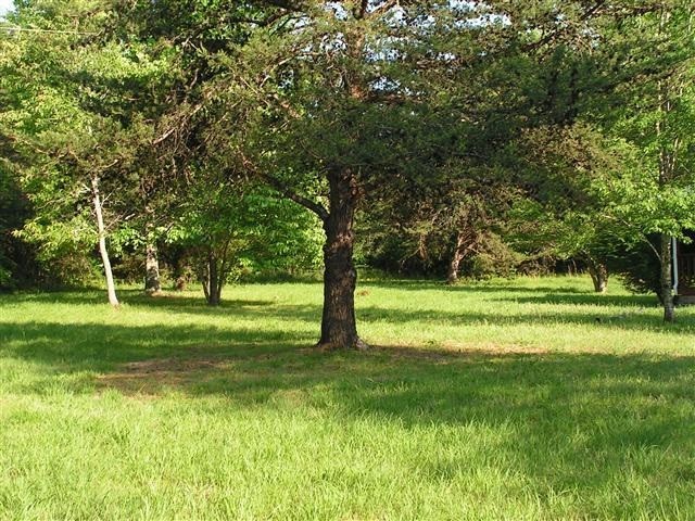 8240 Pinewood Road Nunnelly, TN 37137 - Photo 7 of 24