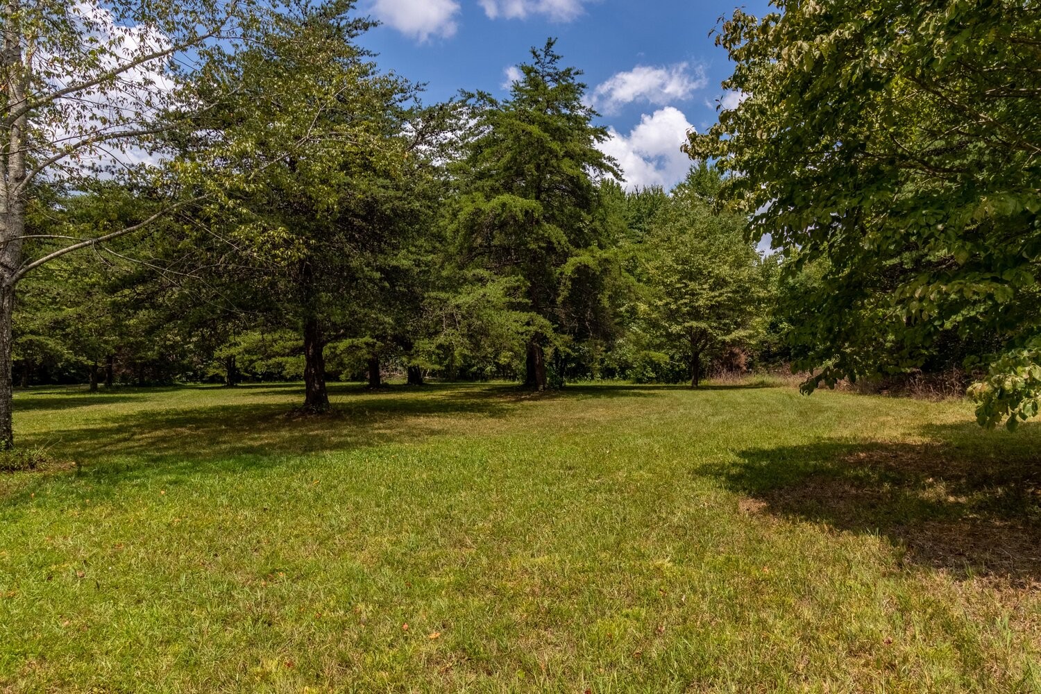 8240 Pinewood Road Nunnelly, TN 37137 - Photo 8 of 24
