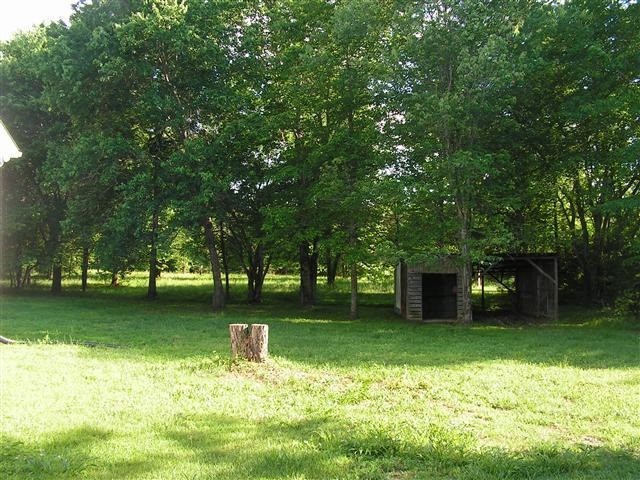 8240 Pinewood Road Nunnelly, TN 37137 - Photo 9 of 24