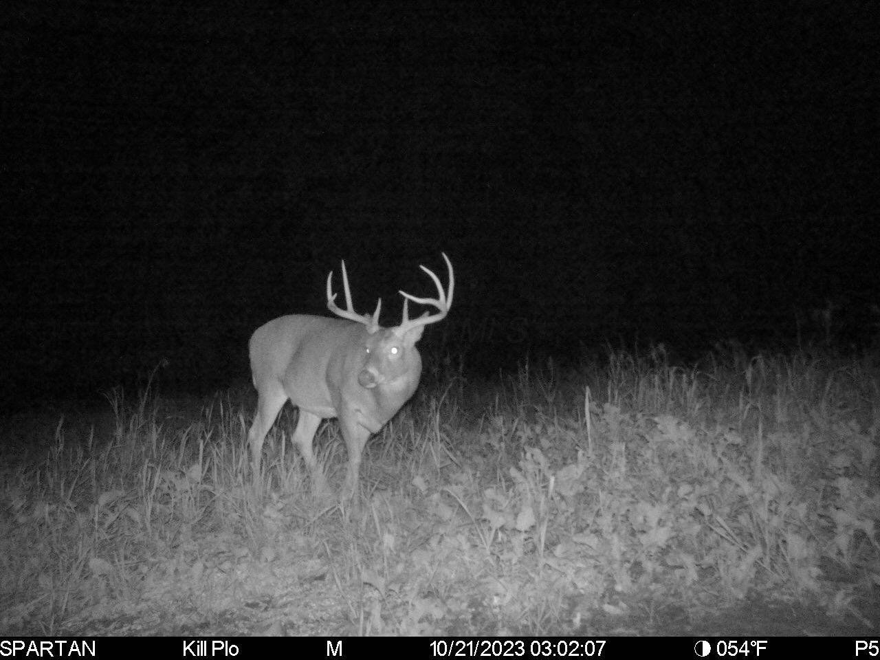 0 Stoneburner Road Northwest Crooksville, OH 43731 - Photo 12 of 26 image15_1