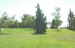 13202 Summitview Ext Road Yakima, WA 98908 - Photo 4 of 4 a view of field with tall trees