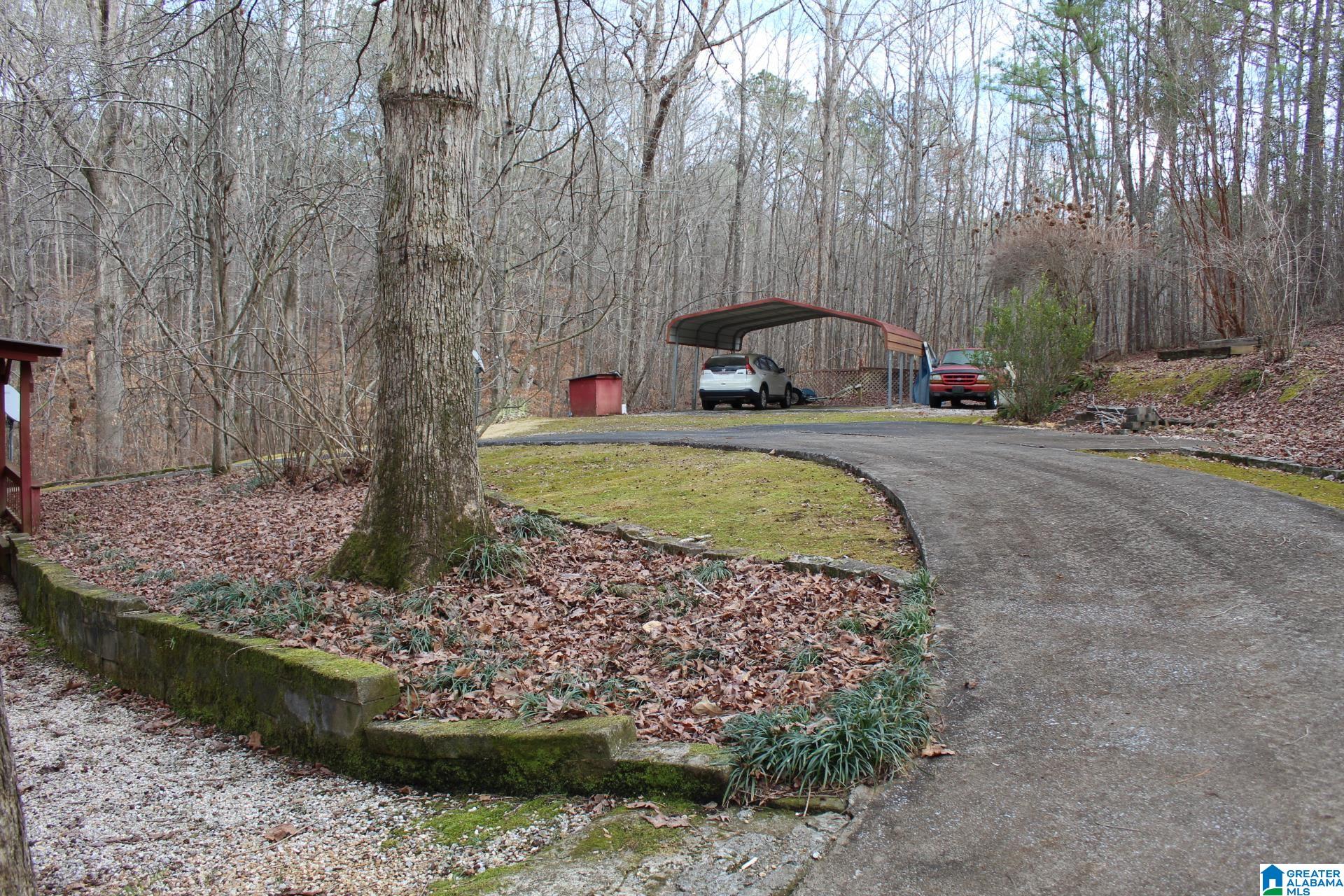 253 County Road 921 Delta, AL 36258 - Photo 5 of 36