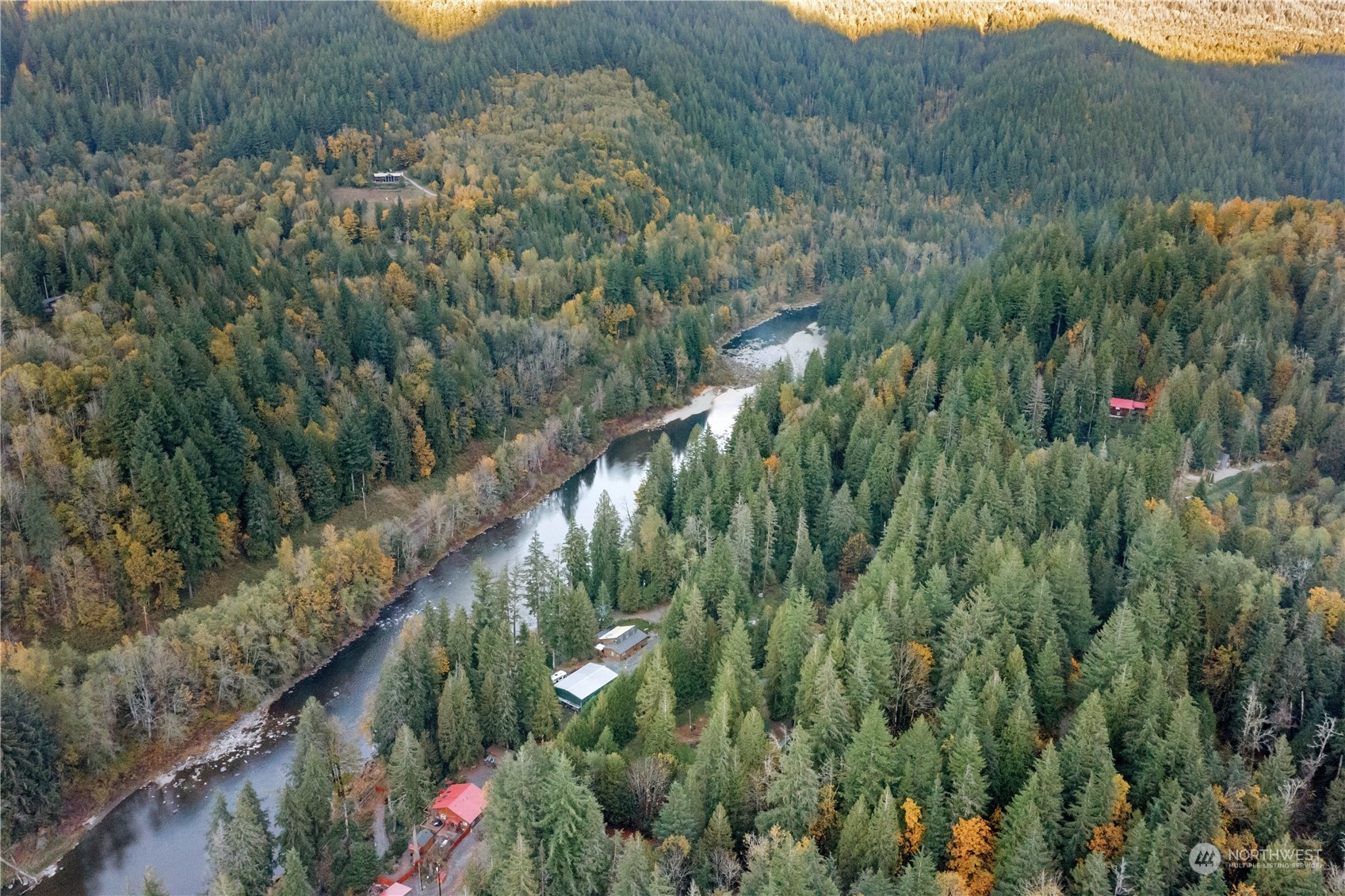 52202 South Riverside Road Gold Bar, WA 98251 - Photo 14 of 17 a view of a lush green forest with lots of trees